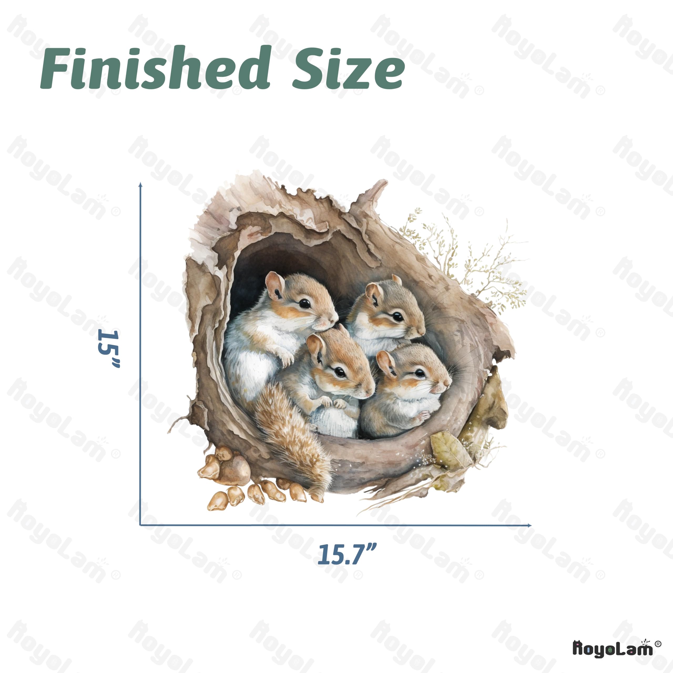 RoyoLam finished 15x15 squirrels wall decal brightens kid spaces