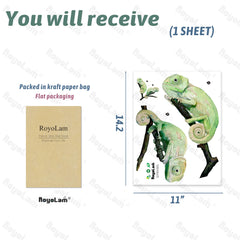 RoyoLam chameleons removable waterproof sticker on smooth wall
