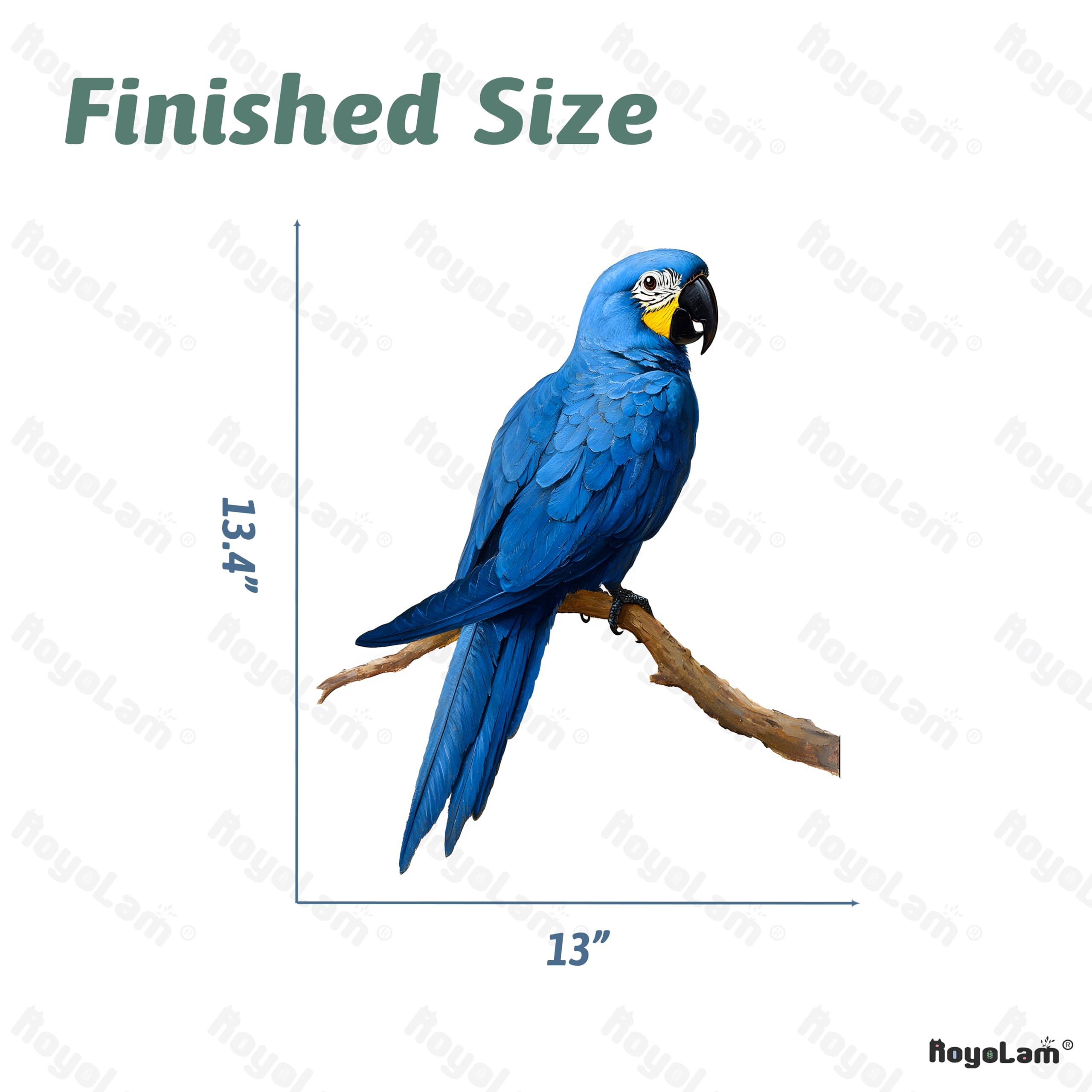 RoyoLam Macaw decal on tiles or furniture creates playful accents.