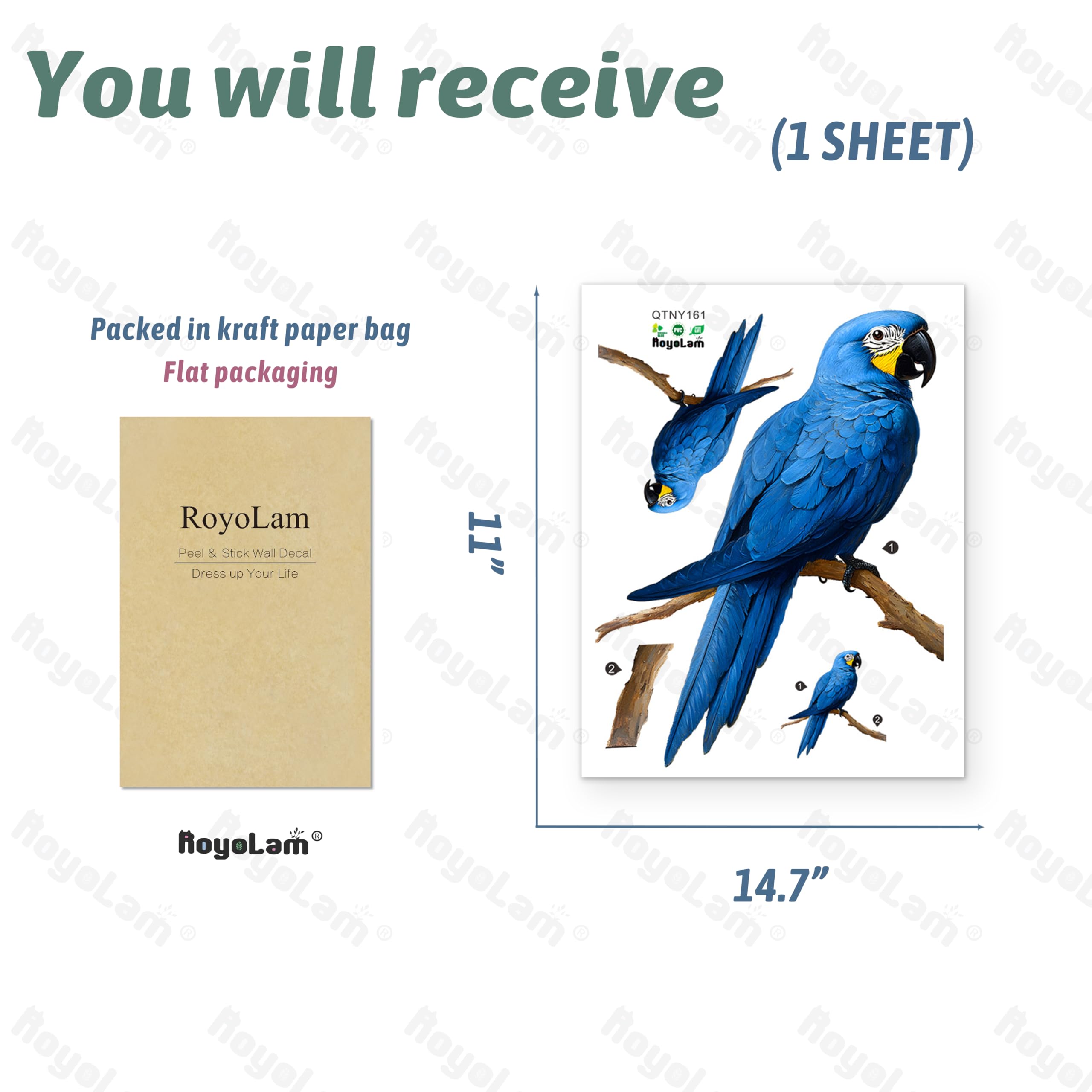 RoyoLam Macaw packaging keeps decals crease-free during transit.