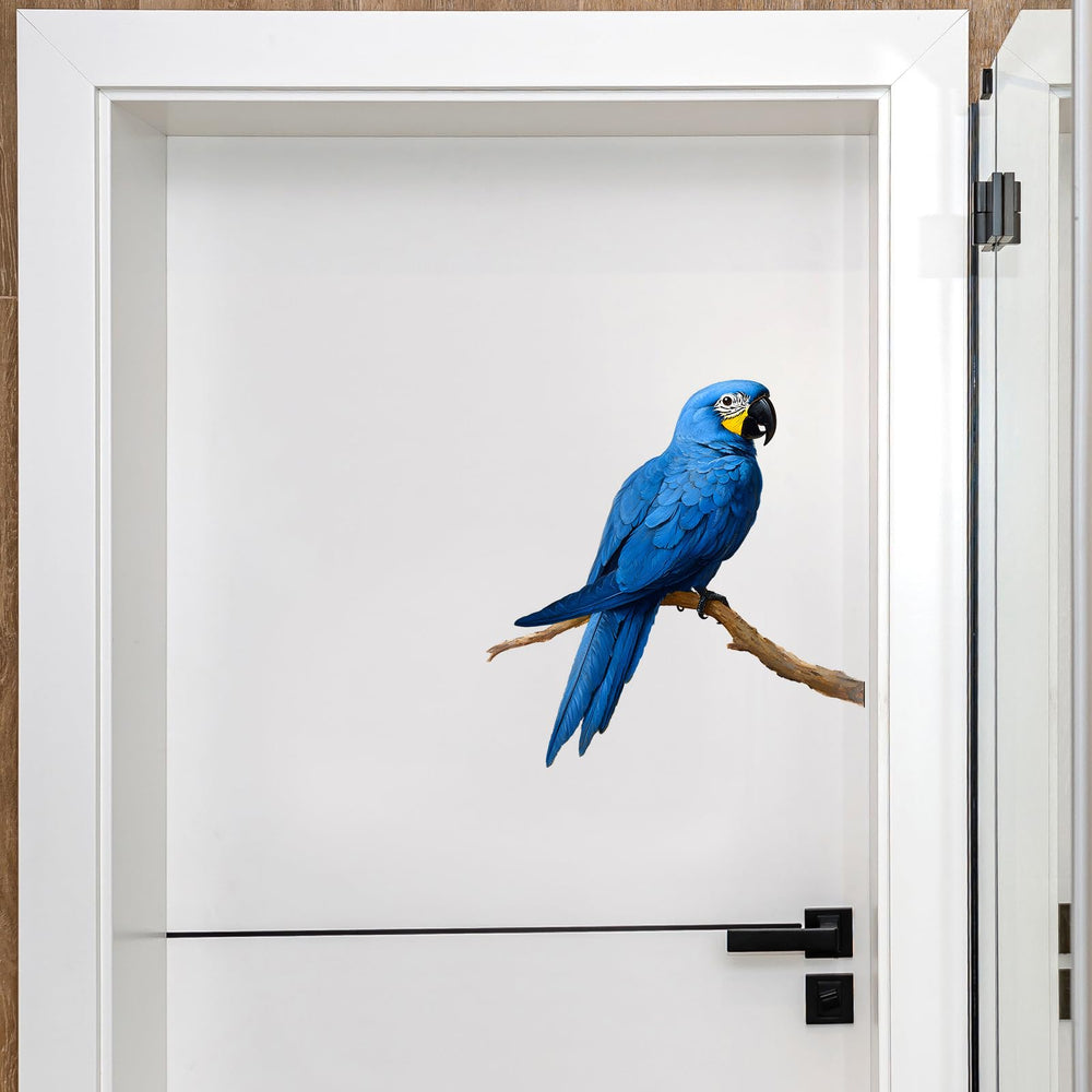 RoyoLam Macaw watercolor detail enhances room accents with soft artistic flair.