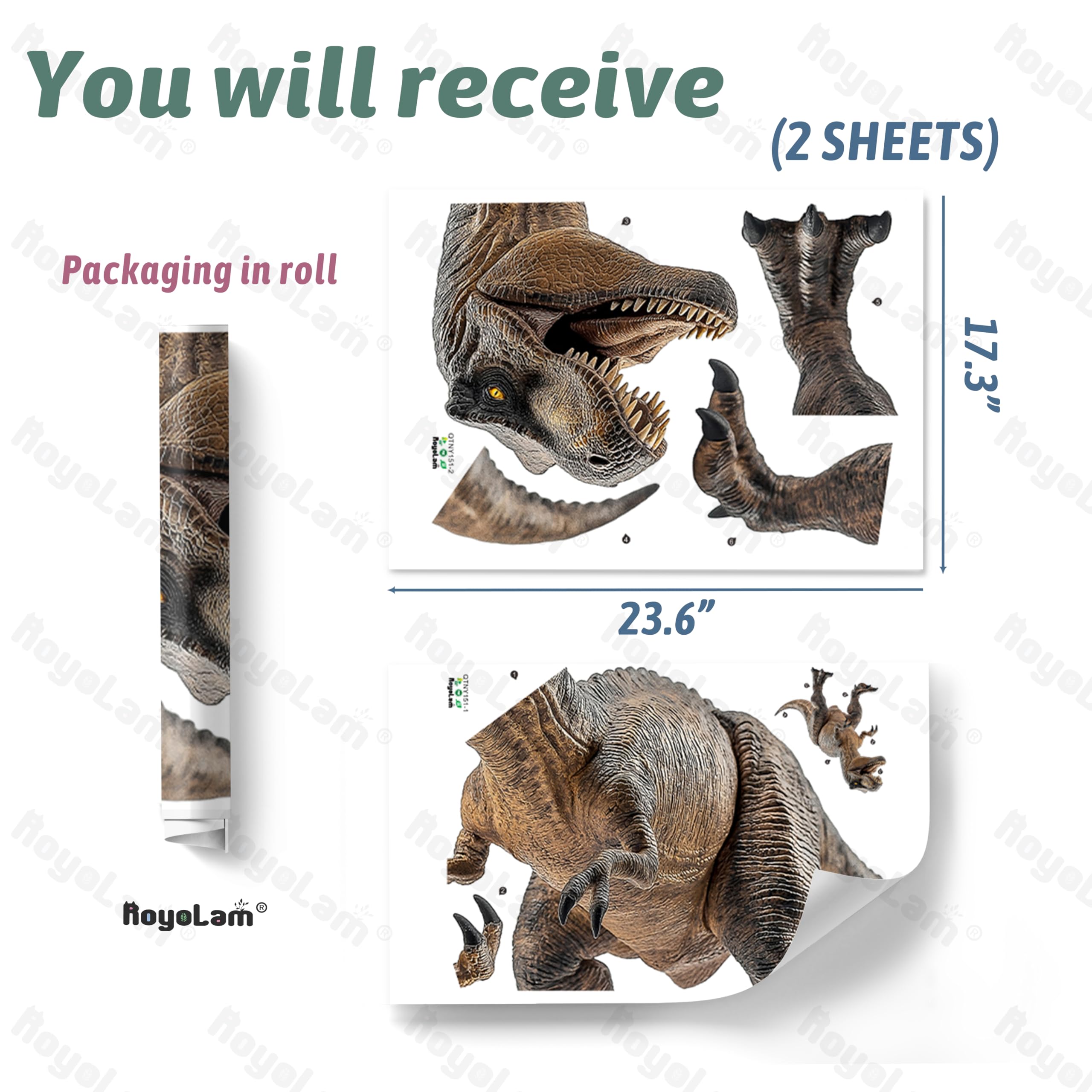 RoyoLam Tyrannosaurus close-up shows bright details and removable backing