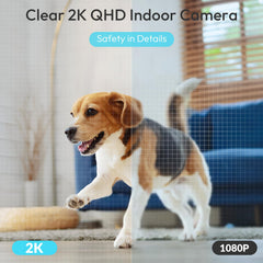 Rraycom camera demonstrates full-room coverage with 360° panning