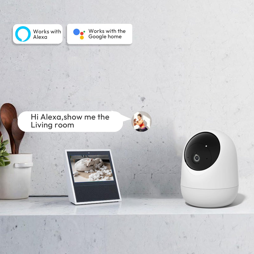 Rraycom camera integrates with Alexa and Google Home for voice control