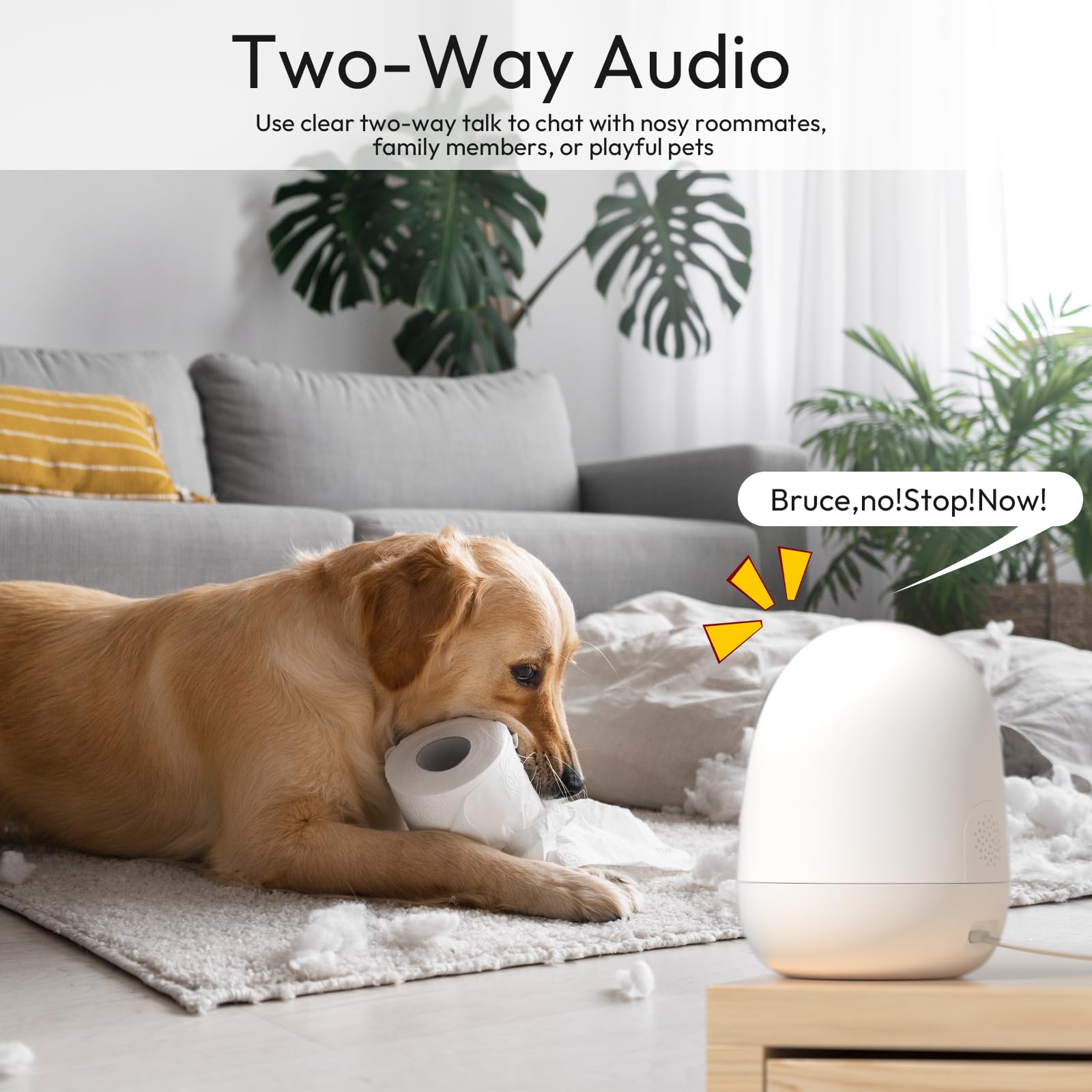 Rraycom privacy shield activates masking in sensitive areas