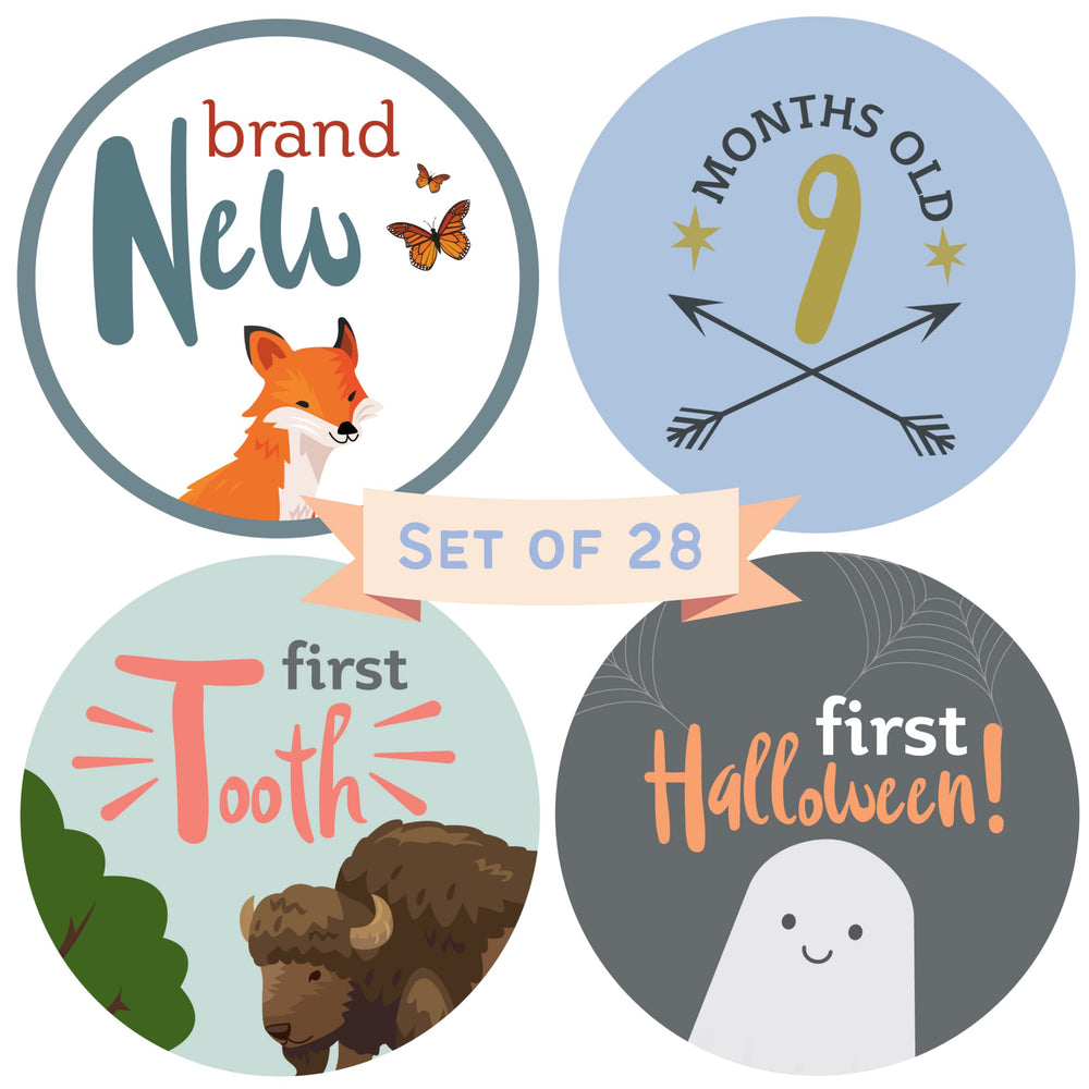 RubyRoo Baby milestone stickers monthly 12-pack for adorable monthly photos