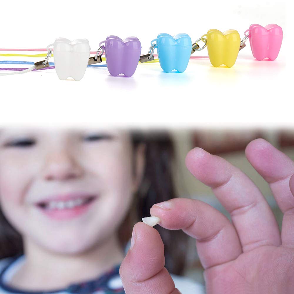 Runing Pet 50-pcs teeth storage box necklace compact—great for growing memories