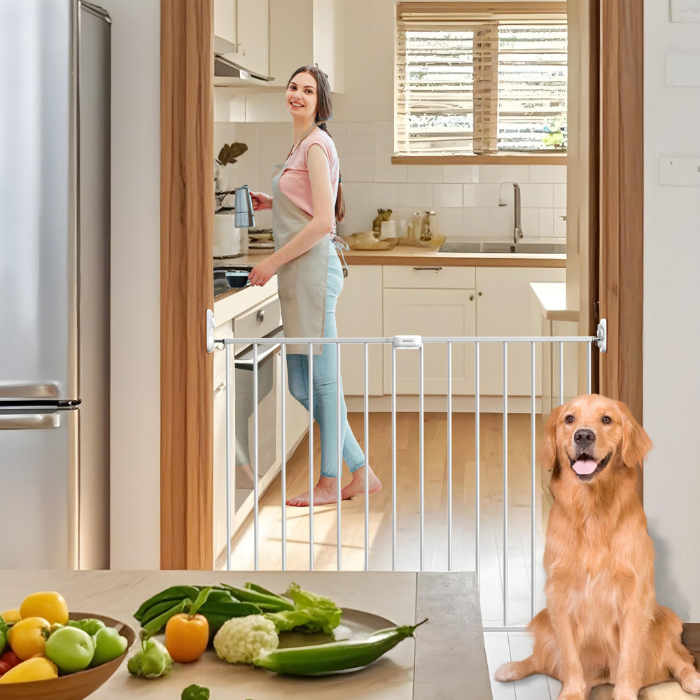 SafeGo gate suited for children and medium to large dogs in shared homes