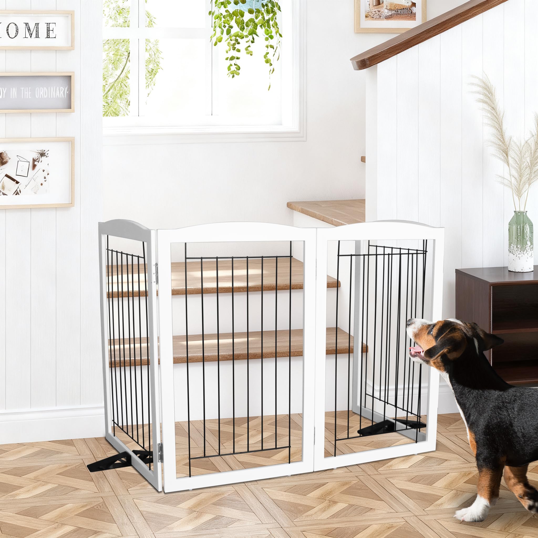 SFJC dog fence indoor stairs use demonstrates versatile placement.