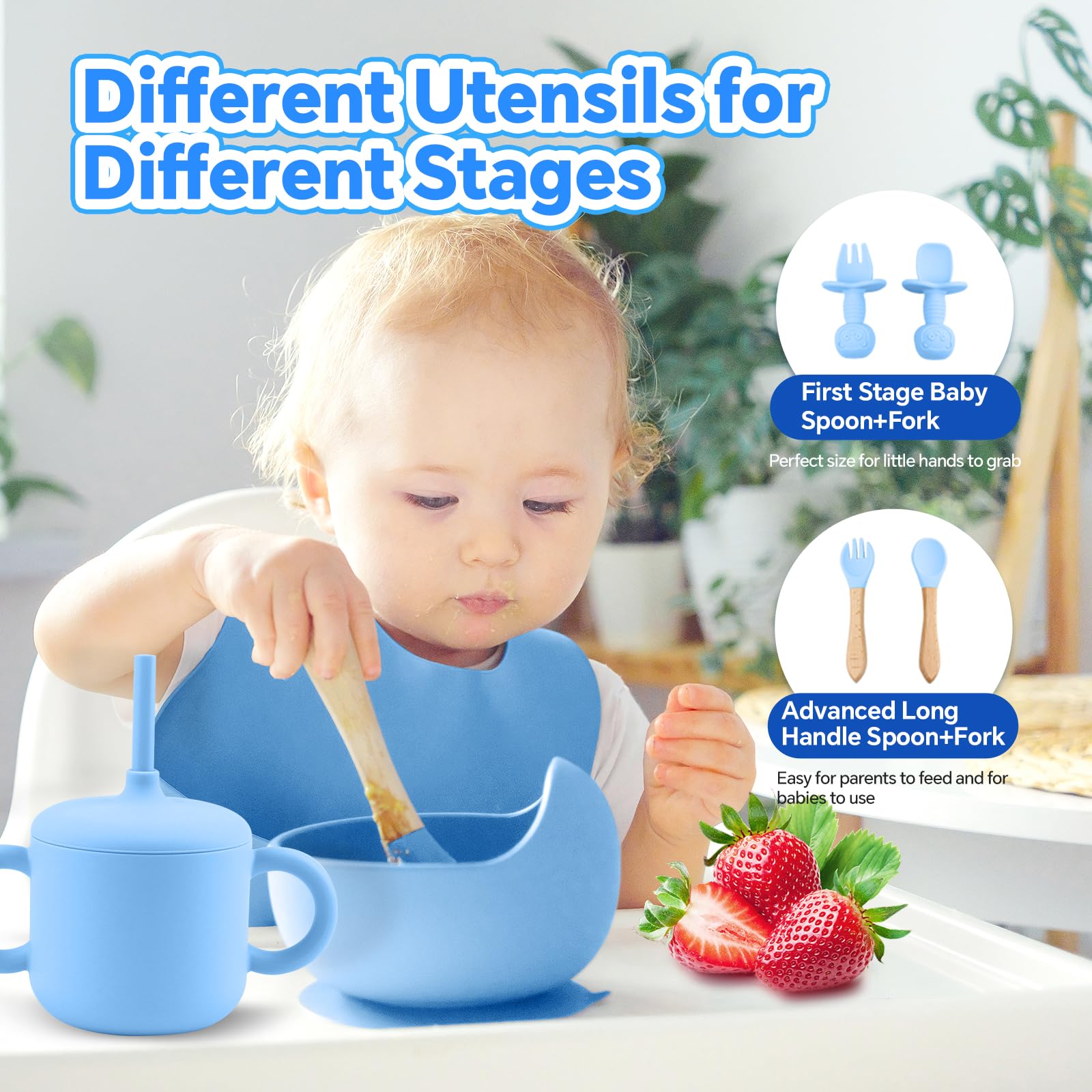 SHGMEET divided-plate design supports self-feeding and portion control.
