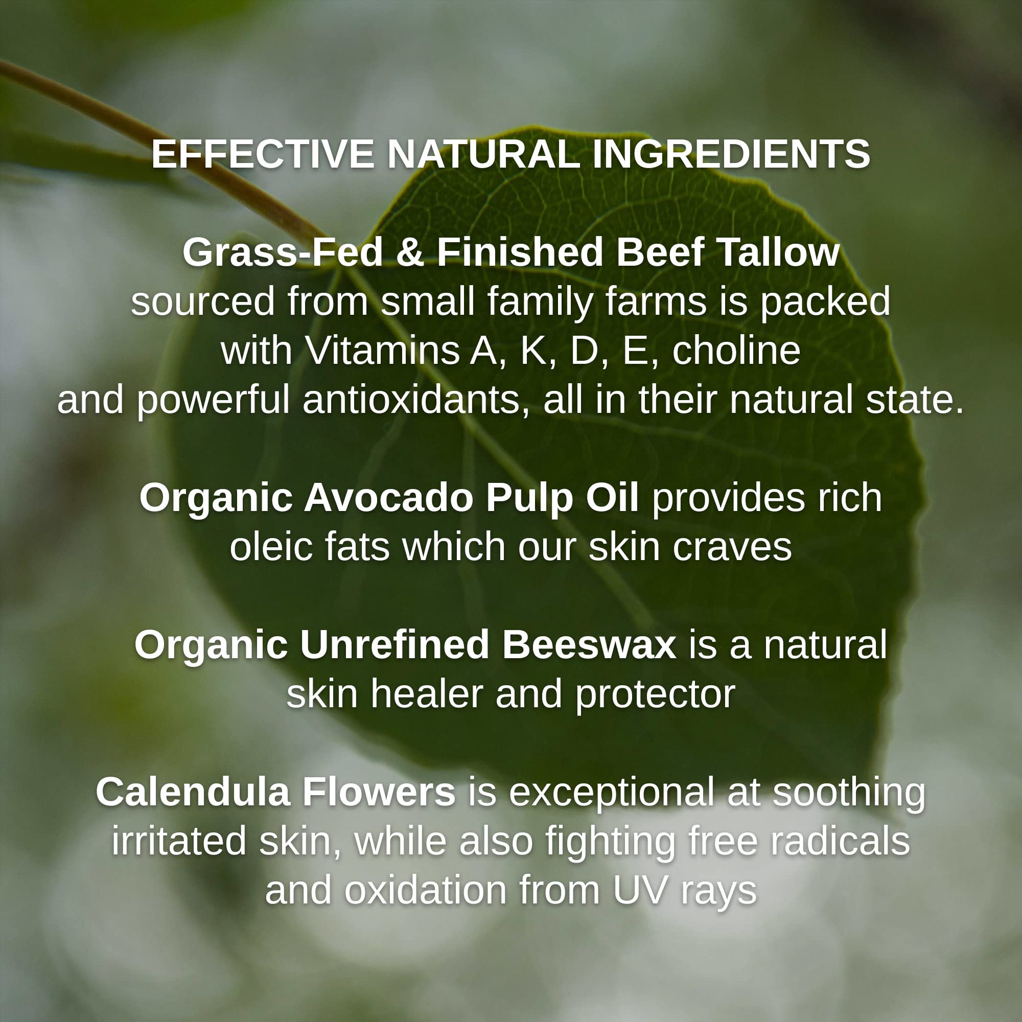 Shwally Primal Baby Balm ingredients include grass-fed tallow and calendula flowers