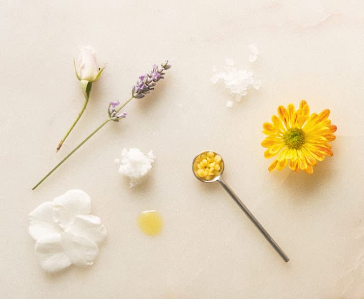 Shwally Zinc Avocado SunBalm ingredients closeup highlights avocado oil and tallow in a clean formula.