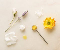 Shwally Zinc Avocado SunBalm ingredients closeup highlights avocado oil and tallow in a clean formula.