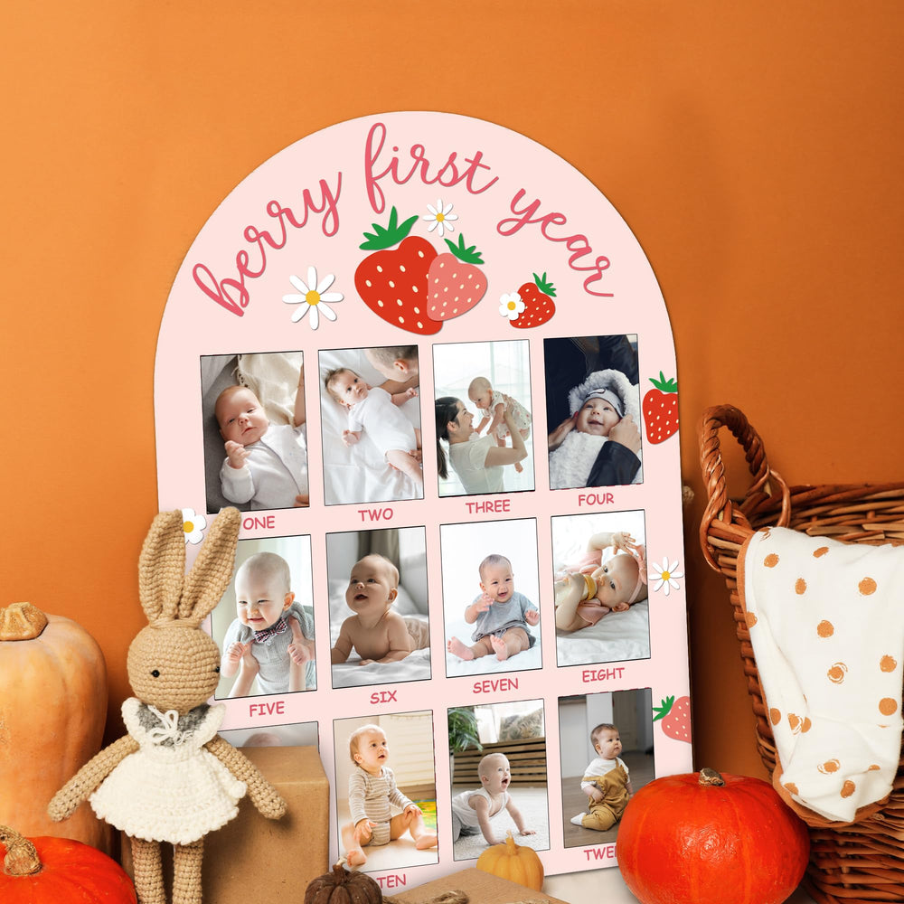 SIXEIGHT baby photo sample 12-month panel illustrating photo placement and growth documentation
