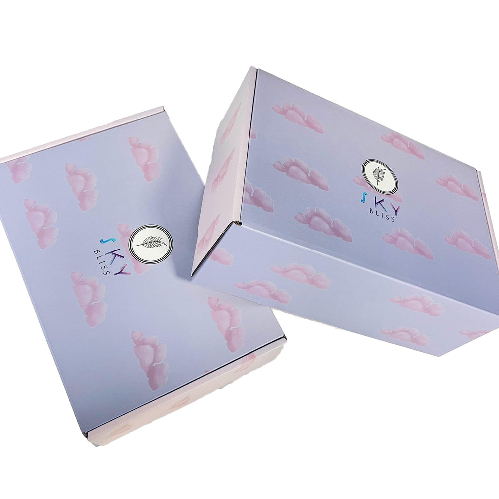 Sky Bliss pacifier with case protecting soothing essentials on the go