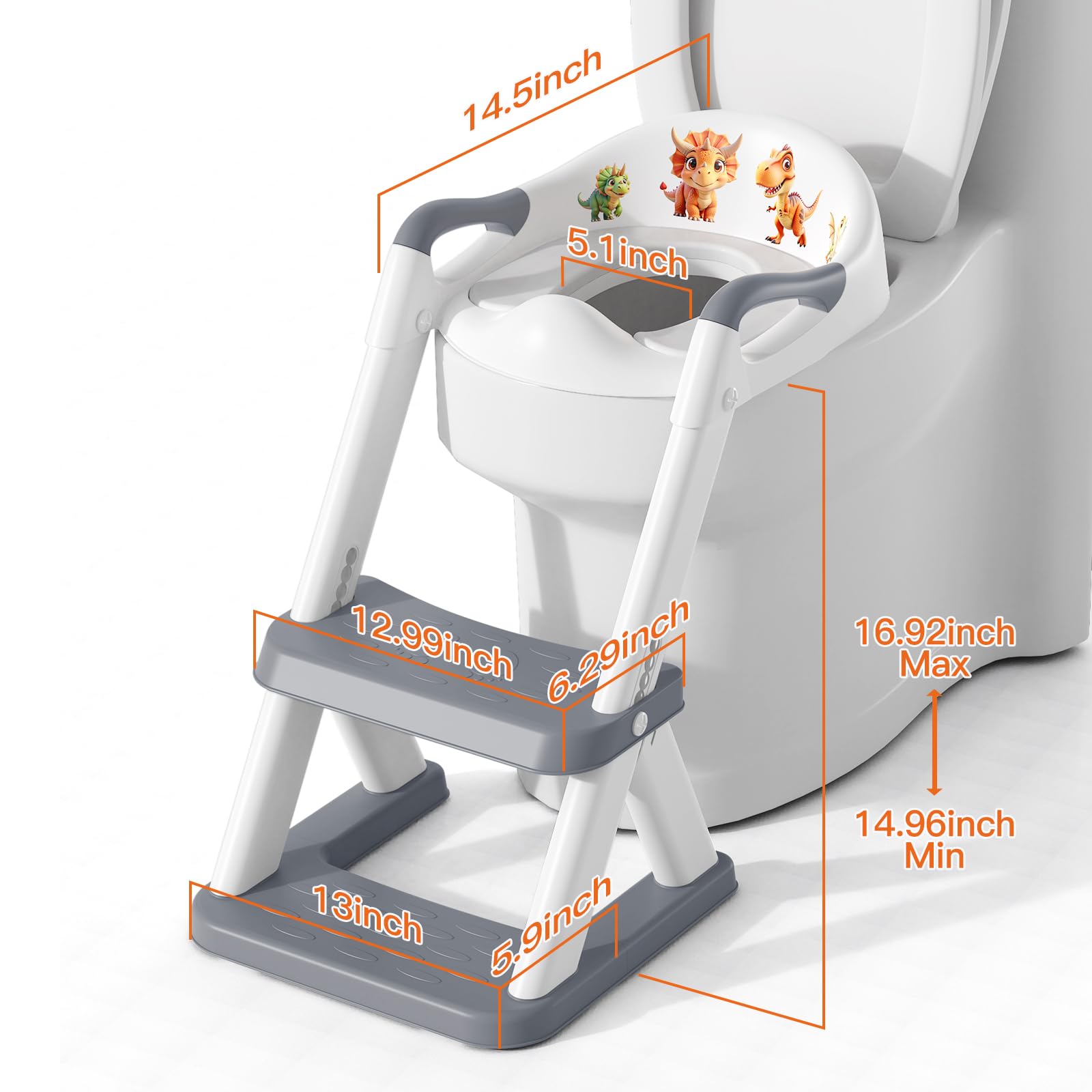 SKYROKU 8868 stable base demonstrates sector-shaped balance design