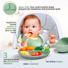 SMART MOMMY 2025 divided suction plate keeps foods separated and stable.