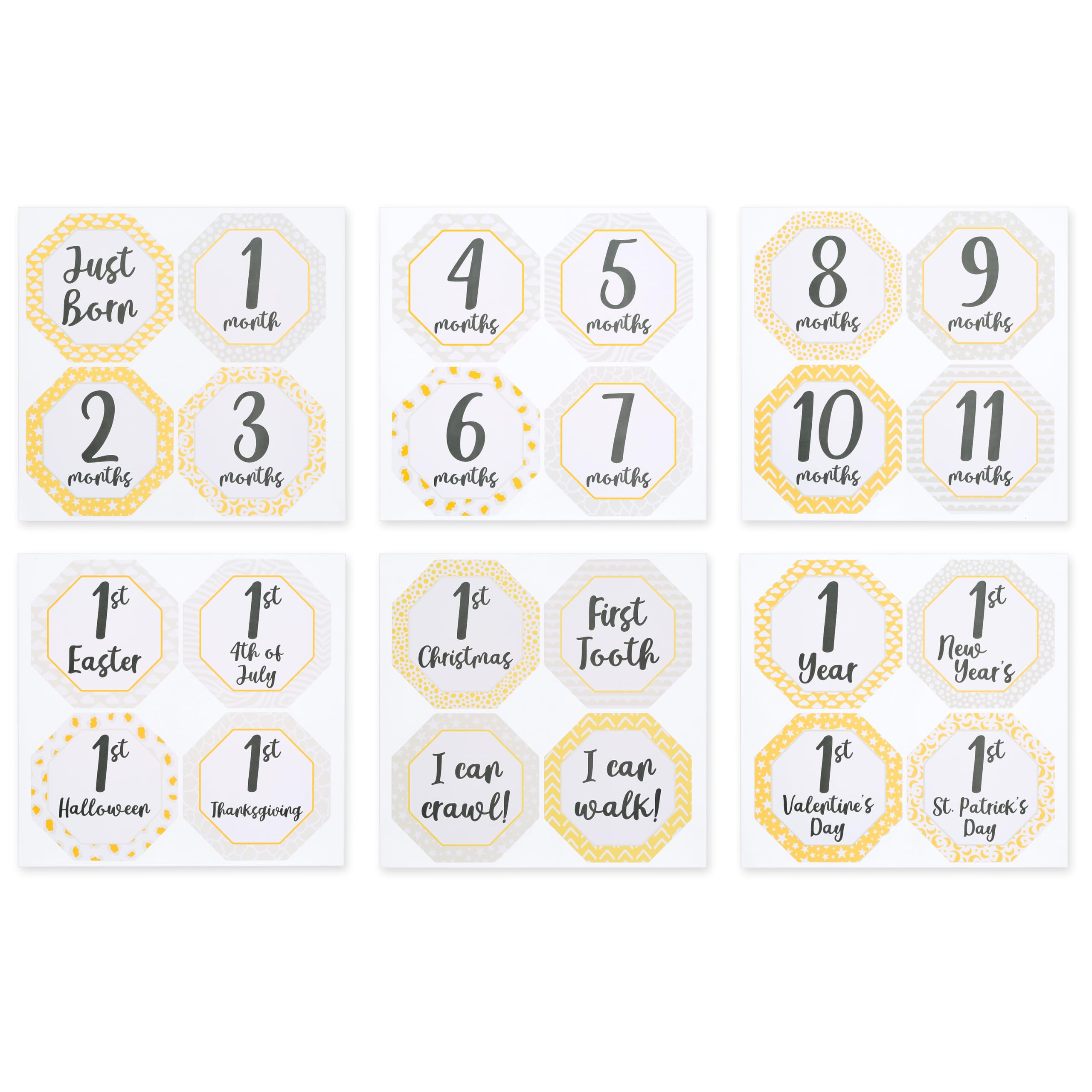 Smart Start Binders labels and folders for customizable organization and growth.