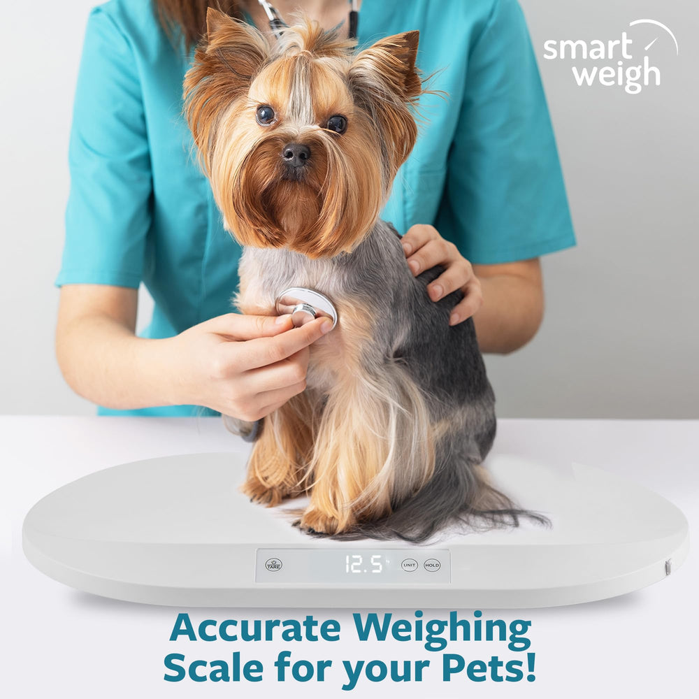 Smart Weigh scale digital display shows lb, oz, kg units clearly