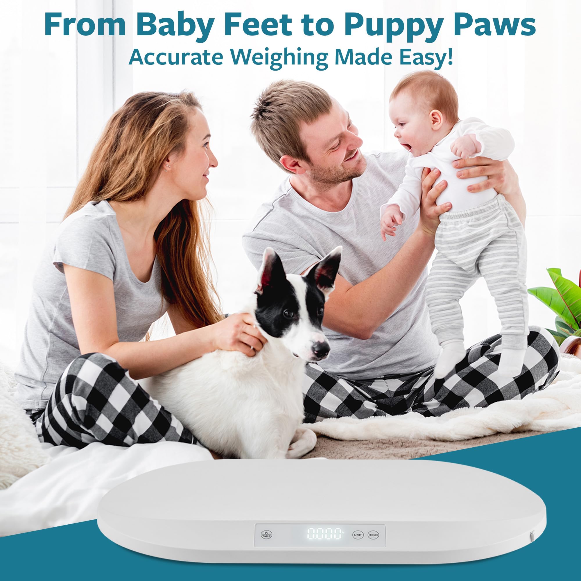Smart Weigh scale packaging box ready for gifting or storage
