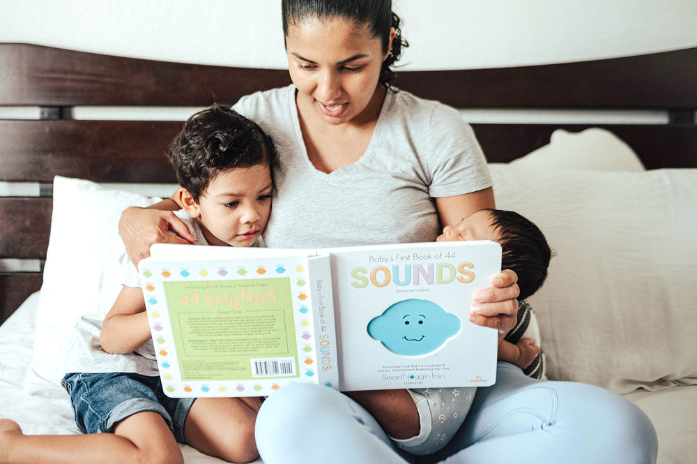 SmartNoggin Milestones Set overview highlights integrated play and learning tools.