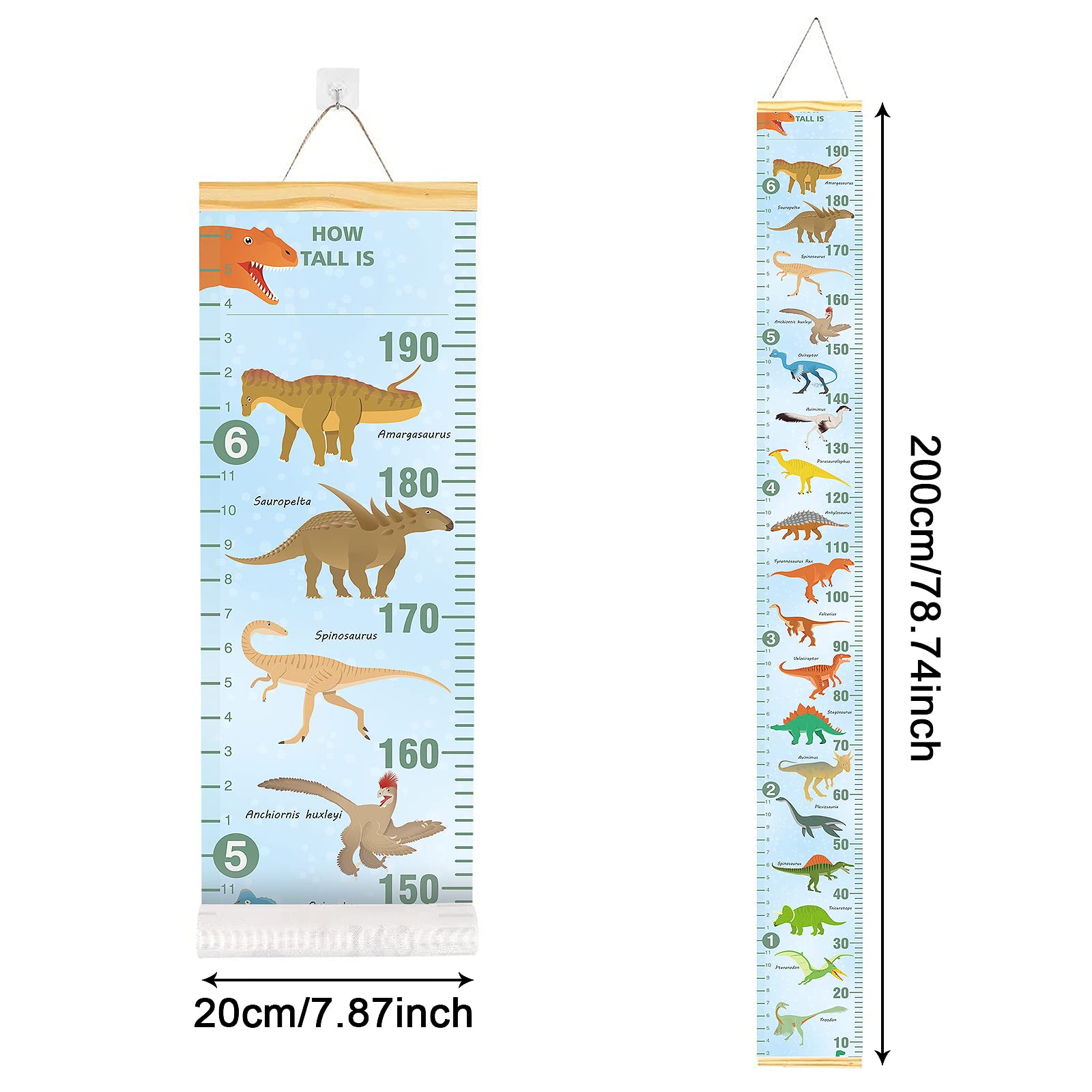 Smlper growth chart wood frame close-up showing sturdy construction and finish.