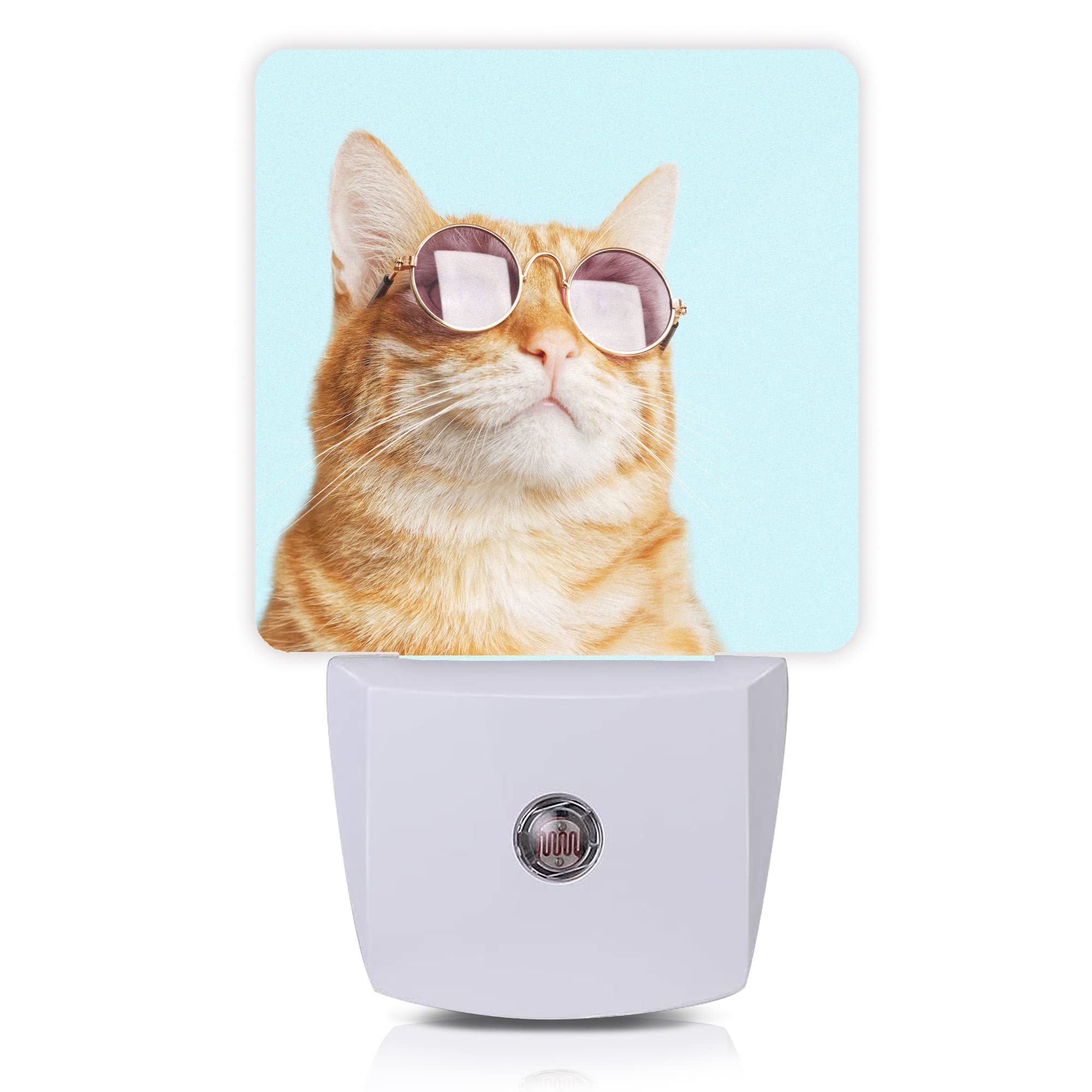Smoaffly glasses-cat night light, front view, glows softly for safe nighttime navigation.