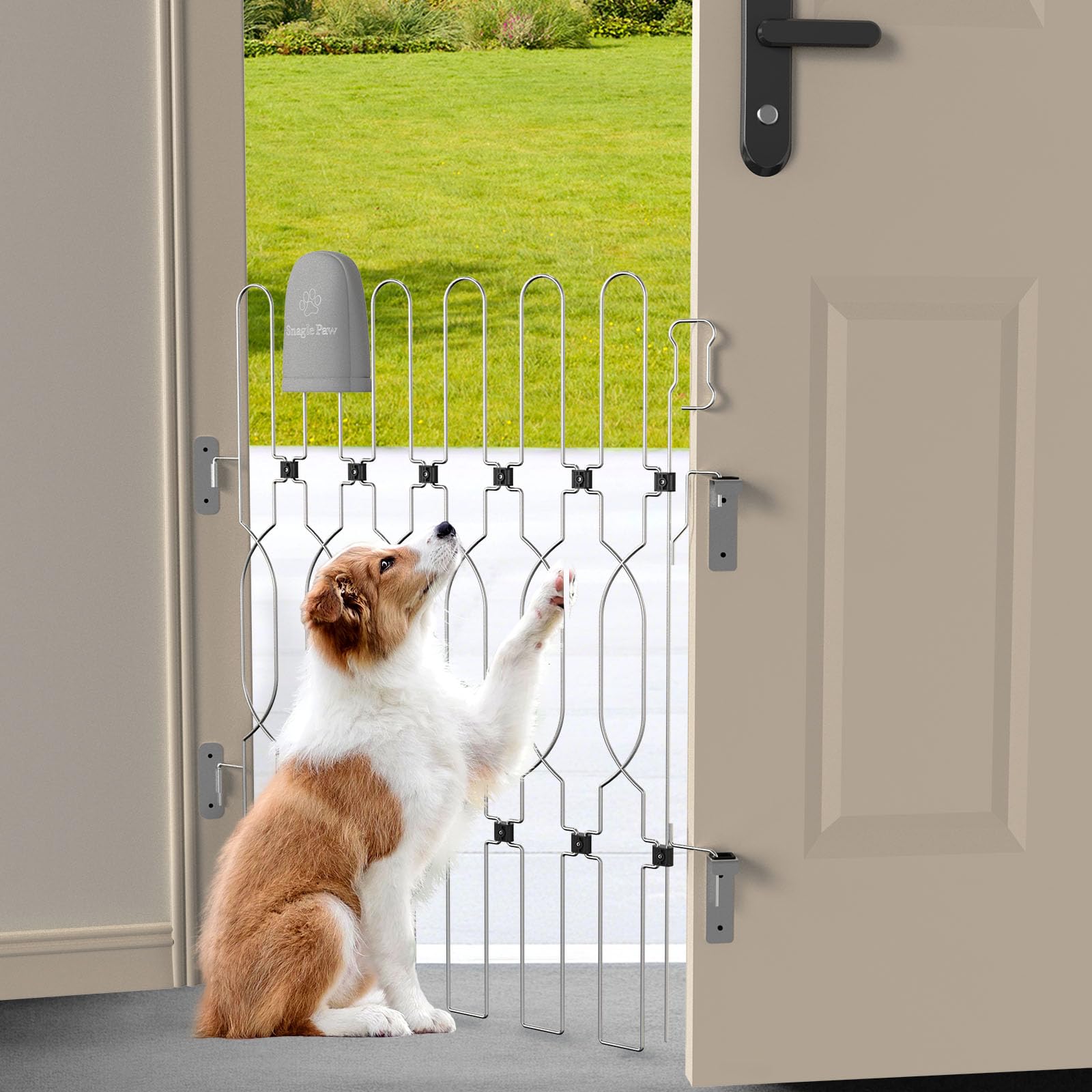 Snagle Paw metal retractable door barrier front door setup showing secure entry control