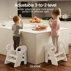 Soladder top-step rotate view highlights 2- or 3-step adjustability for bathroom tasks
