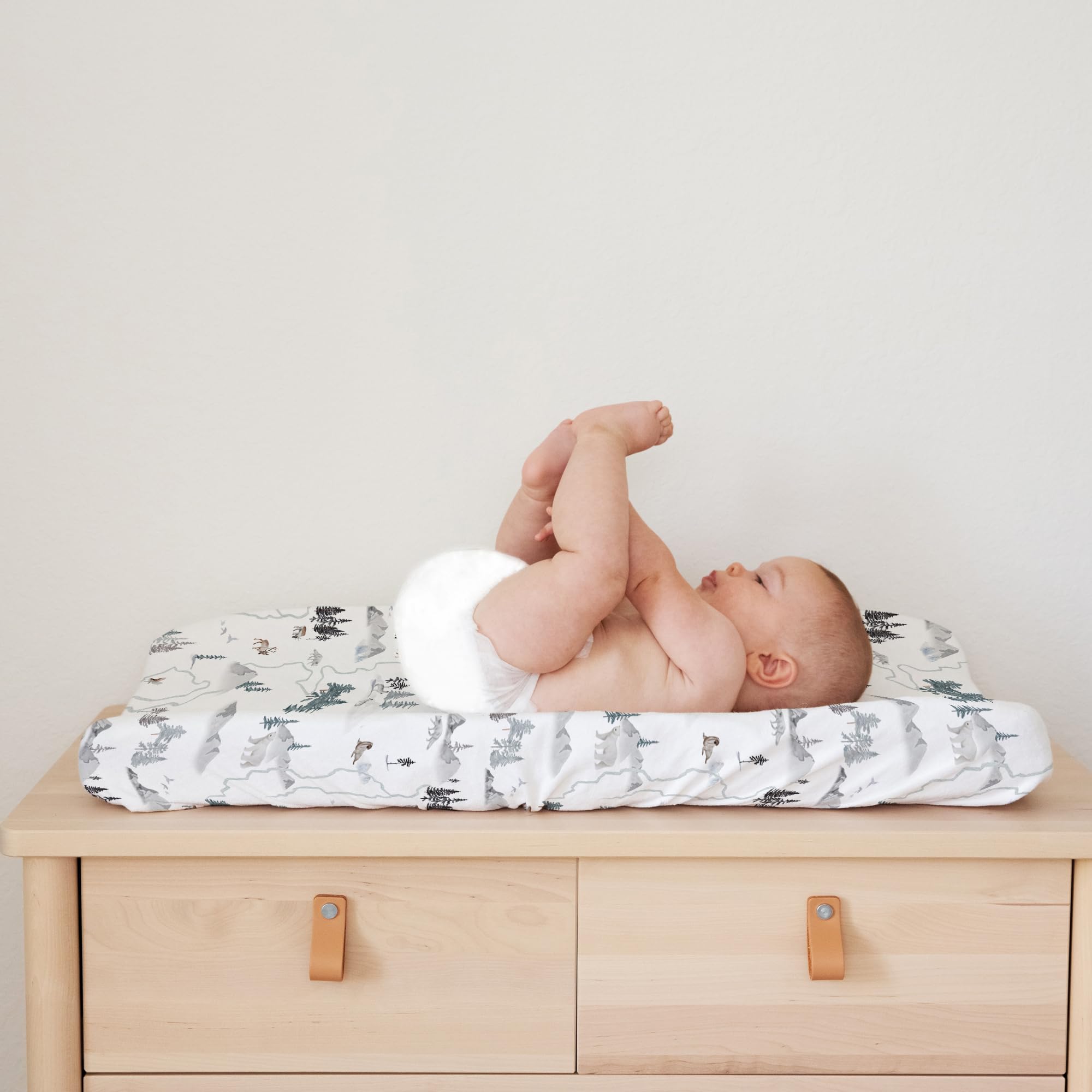 Sorrel + Fern Arctic Journey makes a thoughtful baby-registry gift choice.