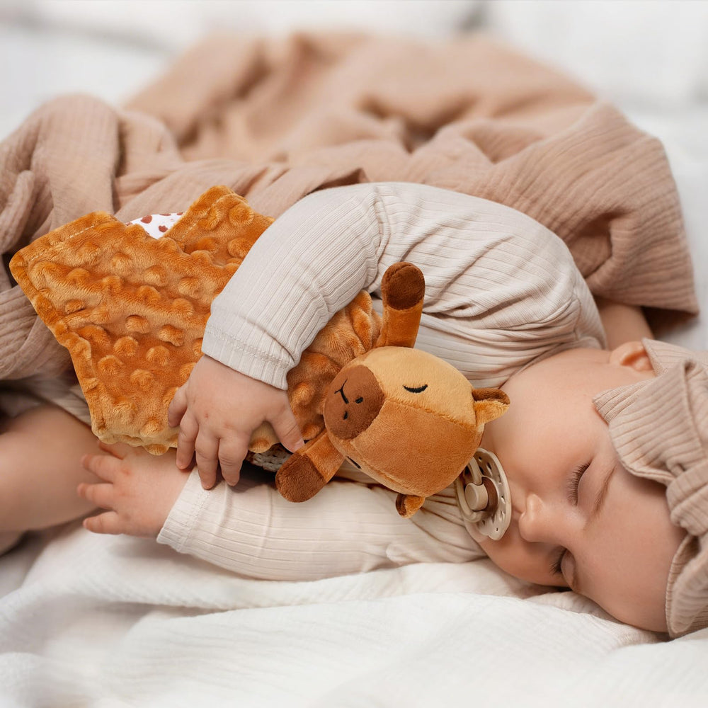 Sprinqdawin Loveys Capybara care guide keeps blanket clean and soft