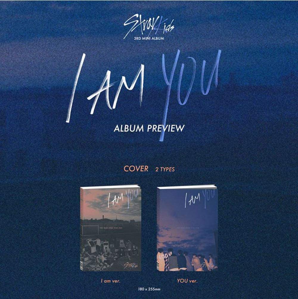 StrayKids SKZ You Version photobook, vivid imagery for personal K-pop memories.