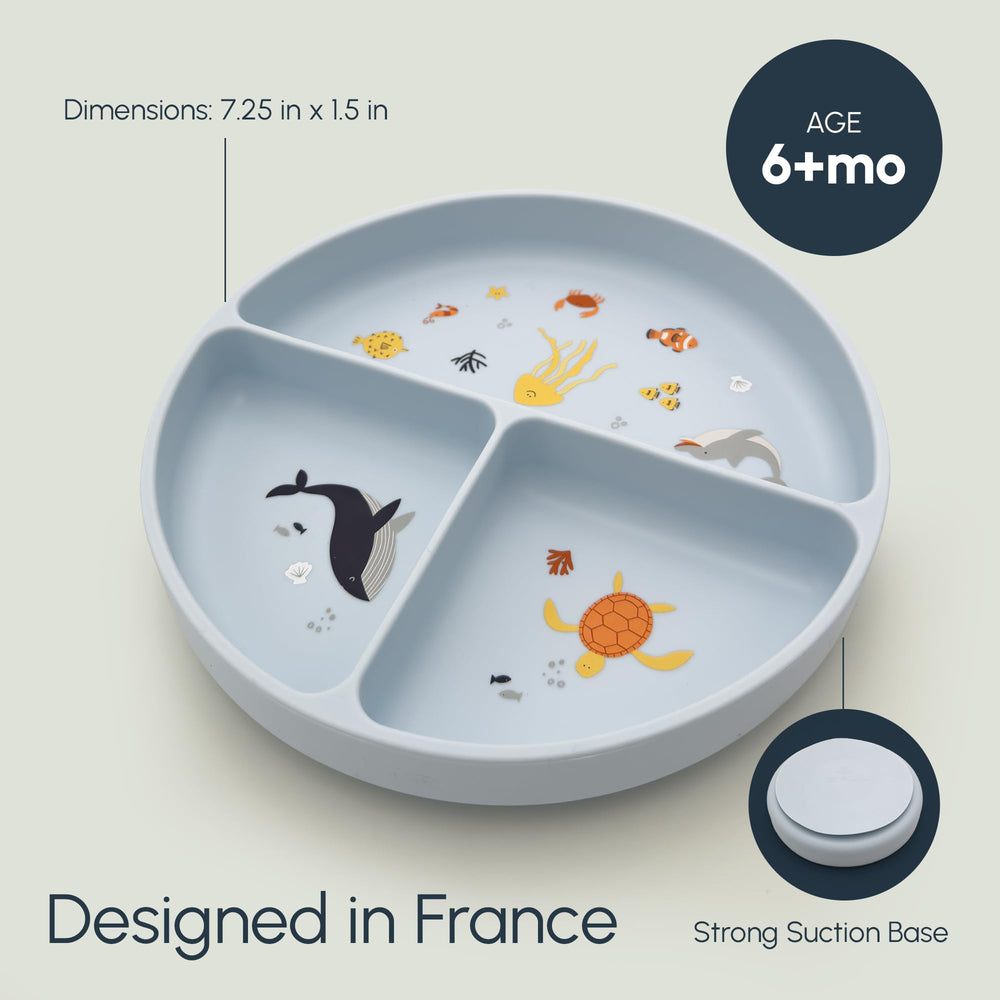 Studio Merveille suction plate divider closeup shows built-in food separators for organization