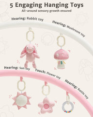 suihuooo detachable-toys five-toys enhances grasping and fine motor skills during exploration