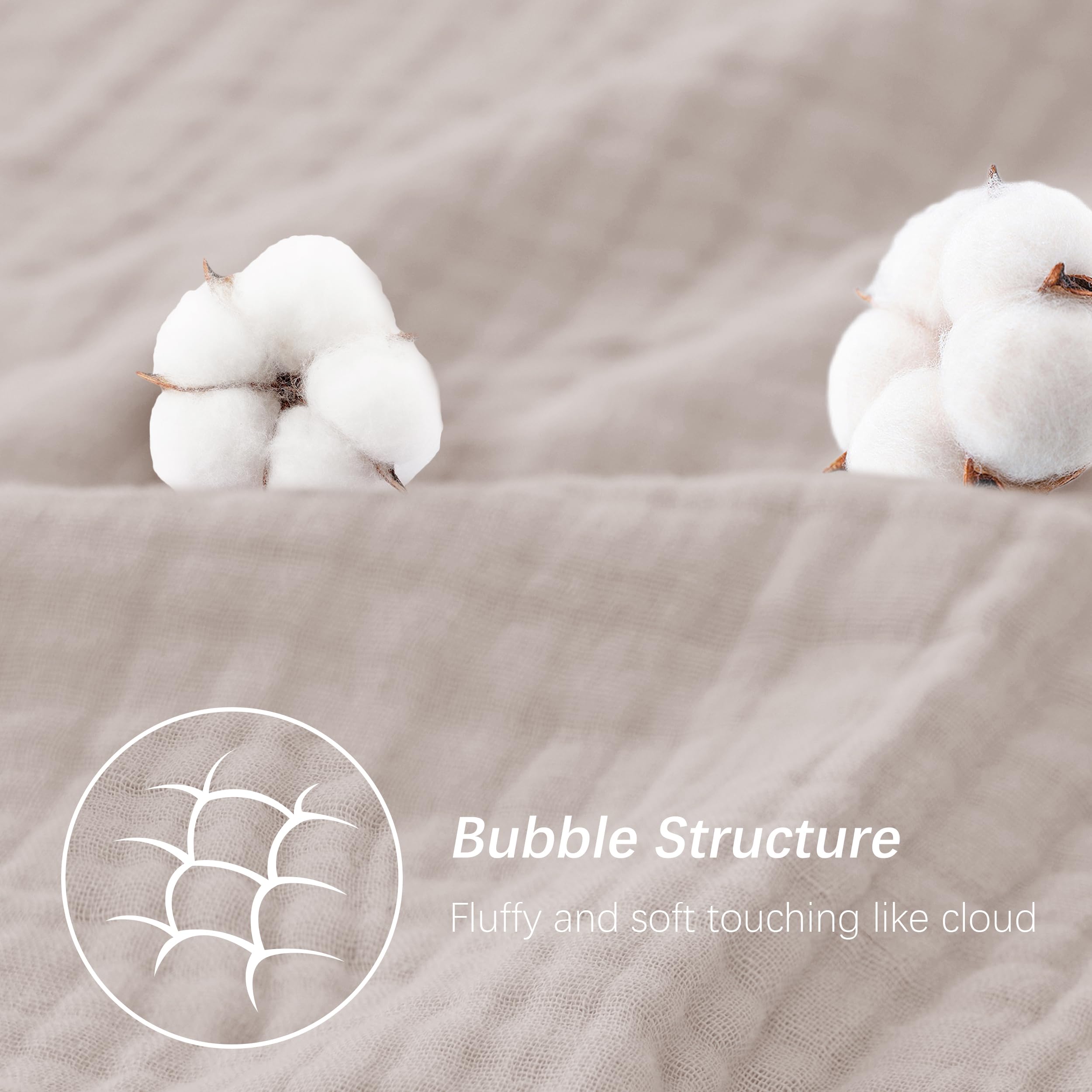 Sweet Dolphin 2-pack packaging ready for gifting and everyday use