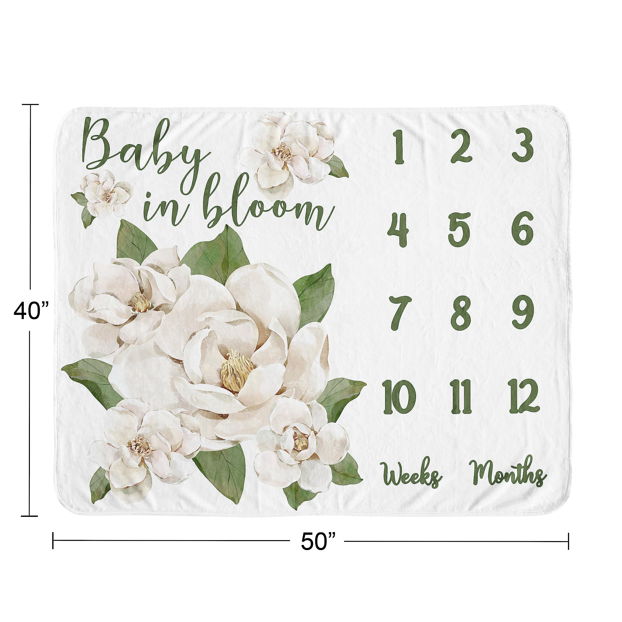 Sweet Jojo Designs Baby in Bloom quote detail adds keepsake storytelling