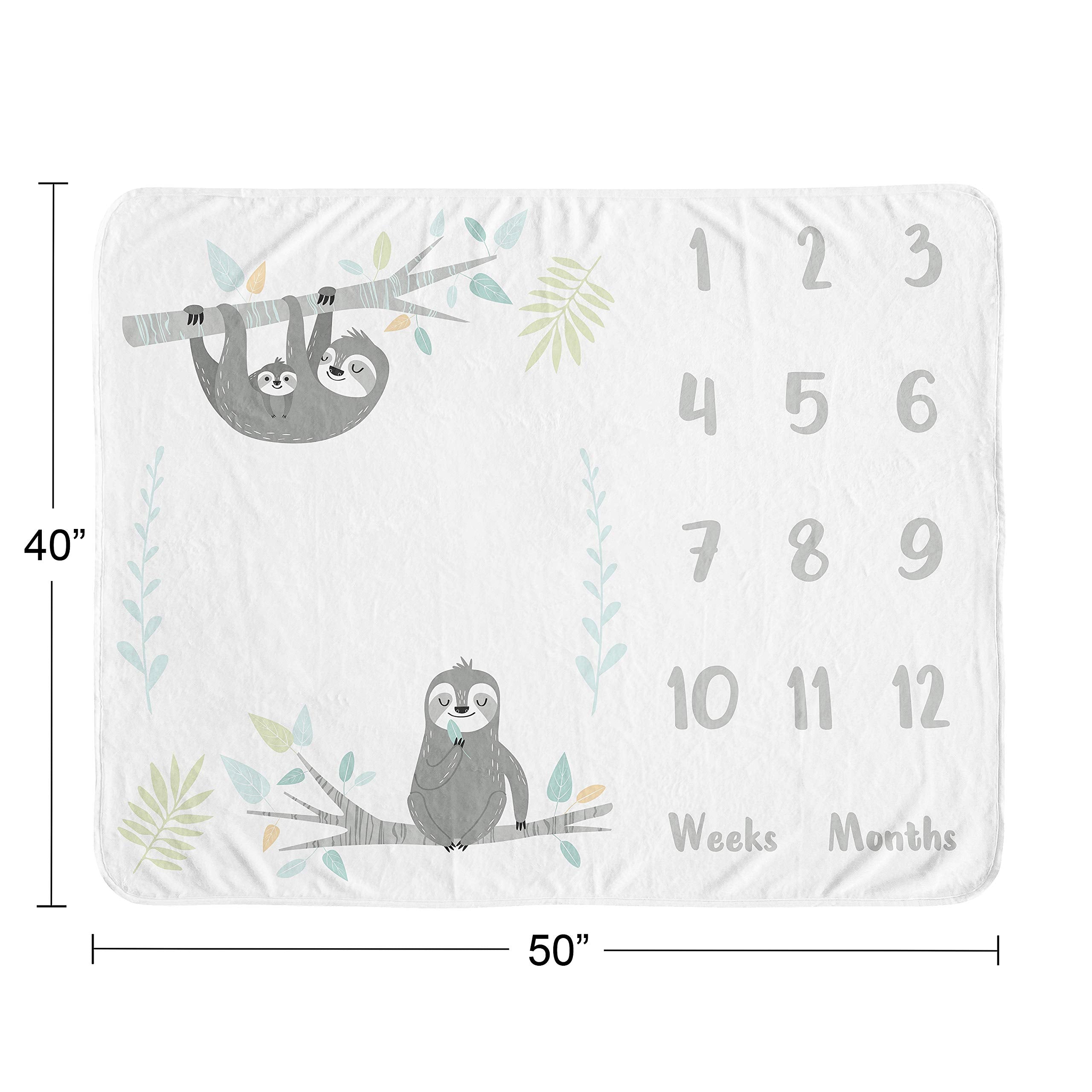 Sweet Jojo Designs photography backdrop featuring plush sloth print.
