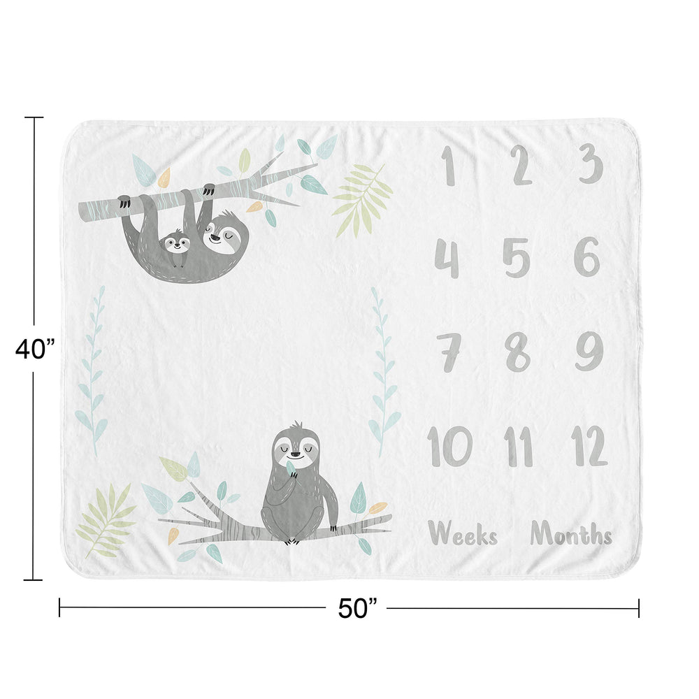 Sweet Jojo Designs photography backdrop featuring plush sloth print.