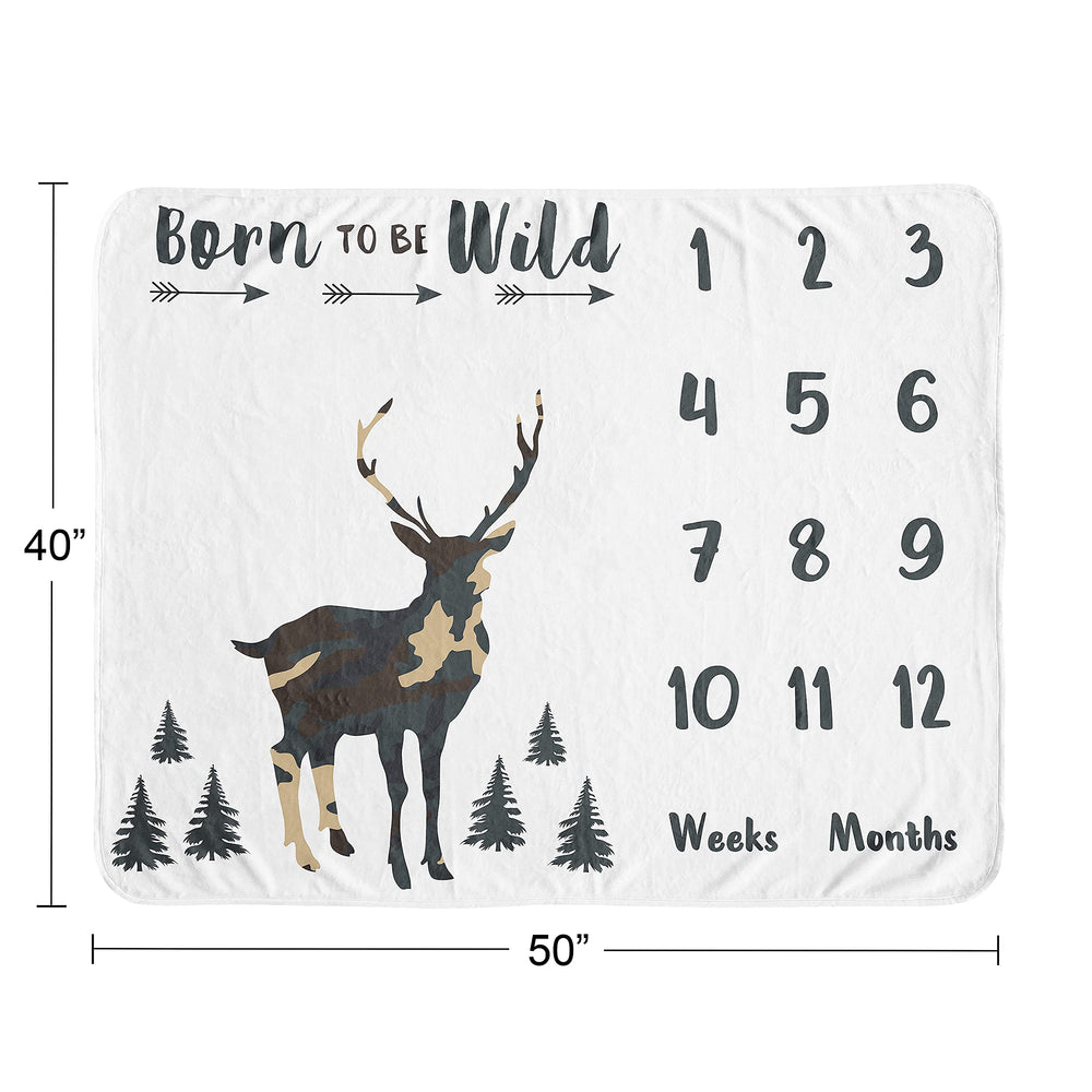 Sweet Jojo Designs Born To Be Wild quote adds playful charm