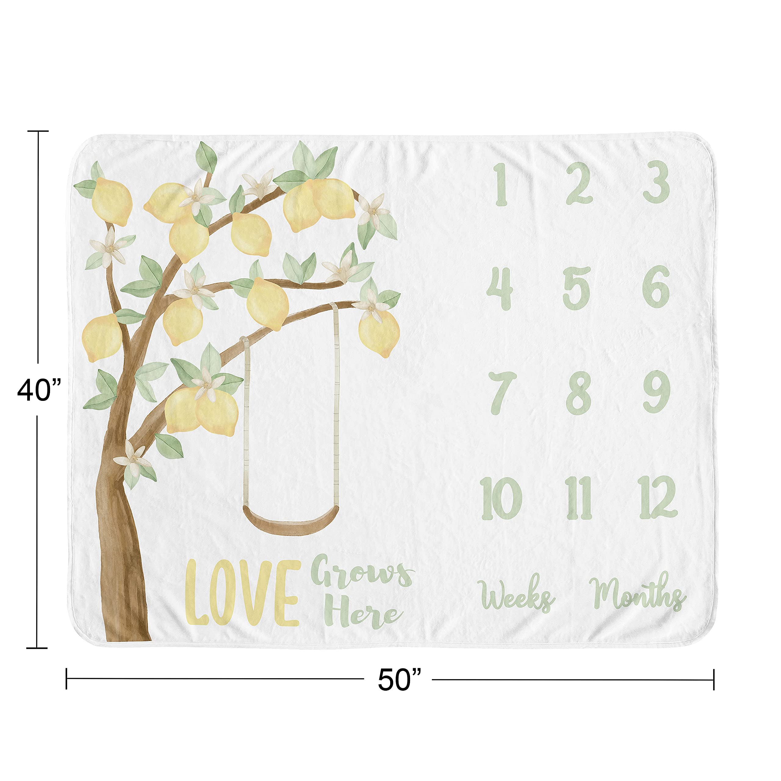 Sweet Jojo Designs lemon floral backdrop ideal for scrapbooking