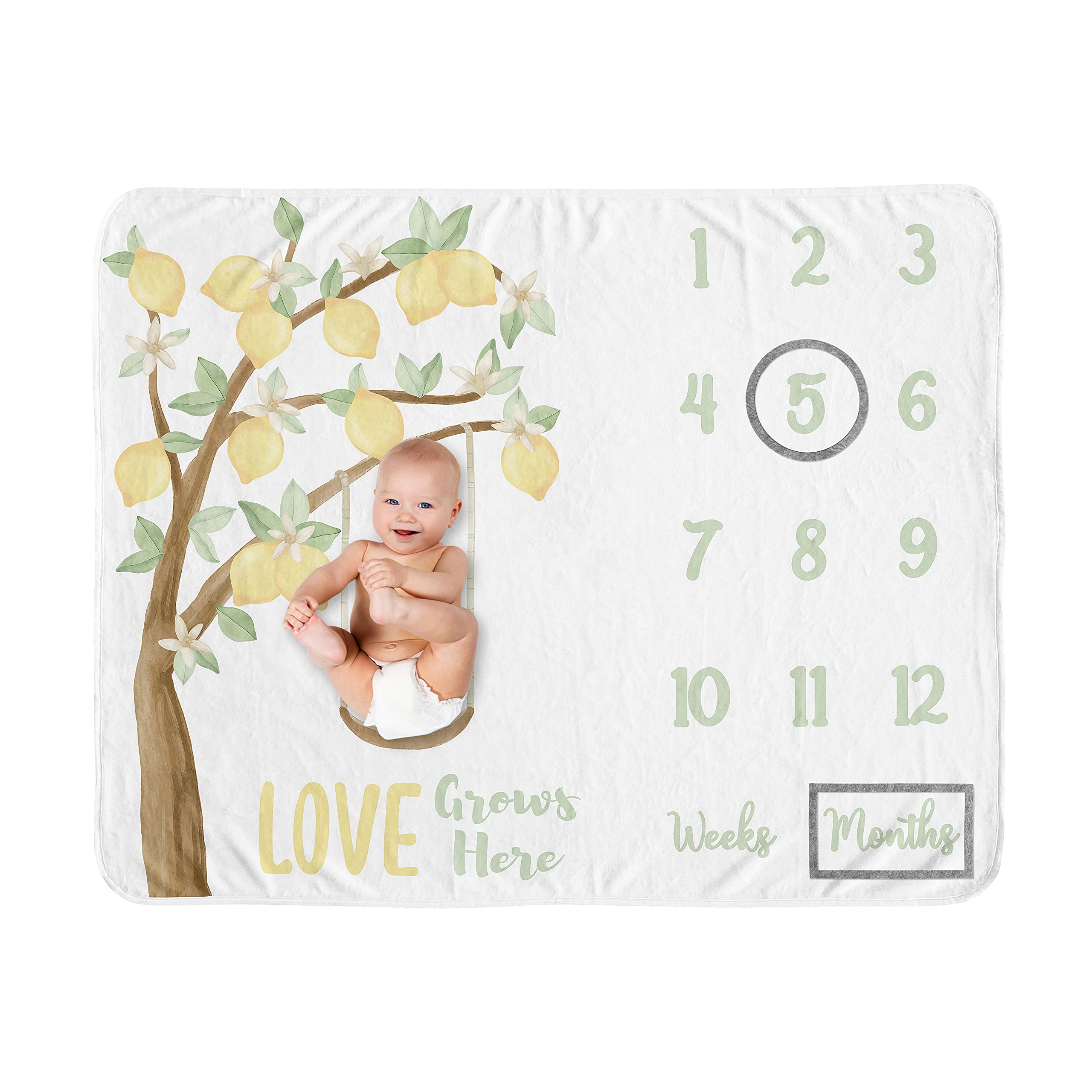 Sweet Jojo Designs lemon floral milestone blanket setup for adorable milestone photos
