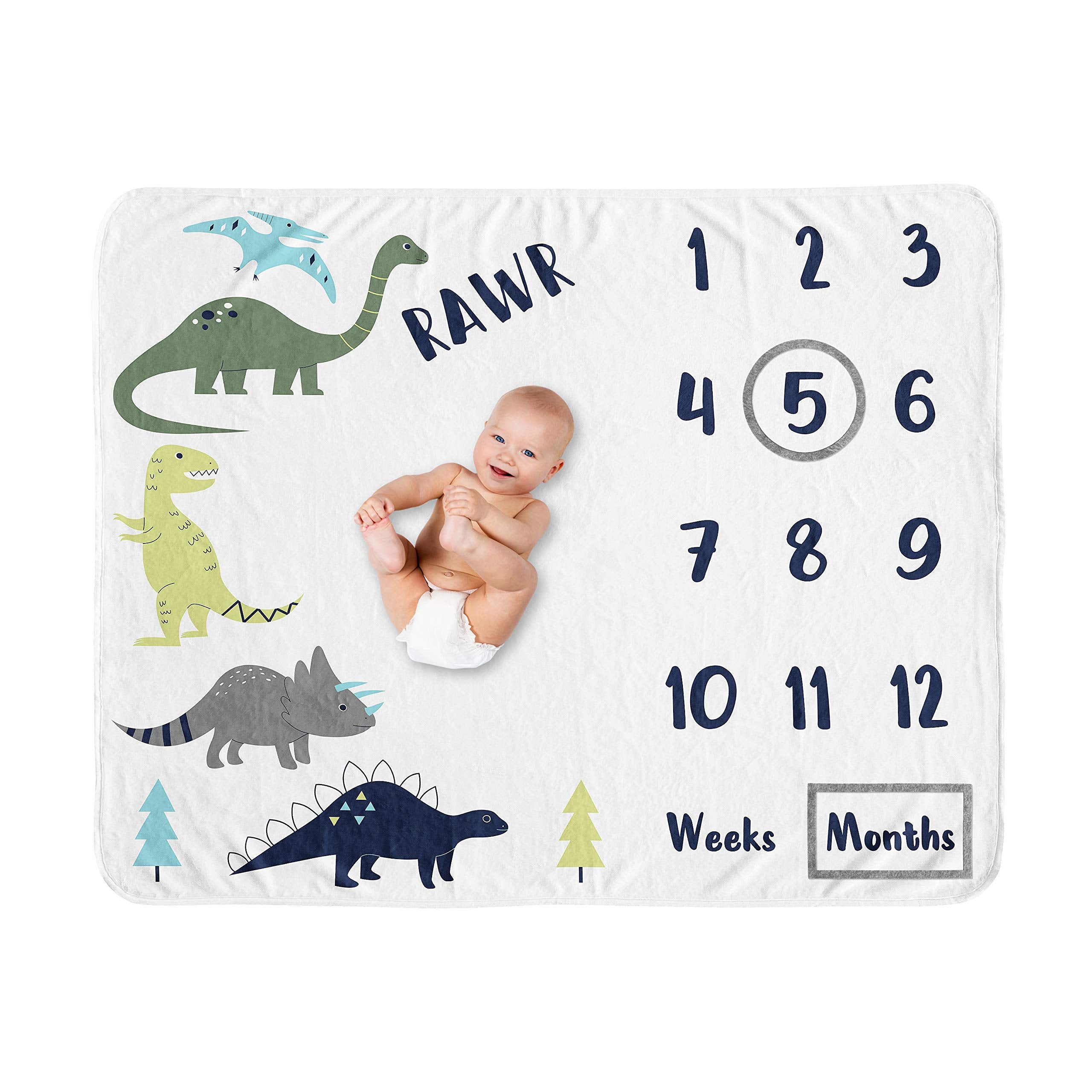 Sweet Jojo Designs Mod Dino Boy milestone blanket closeup showcases plush minky texture for warm baby photos.