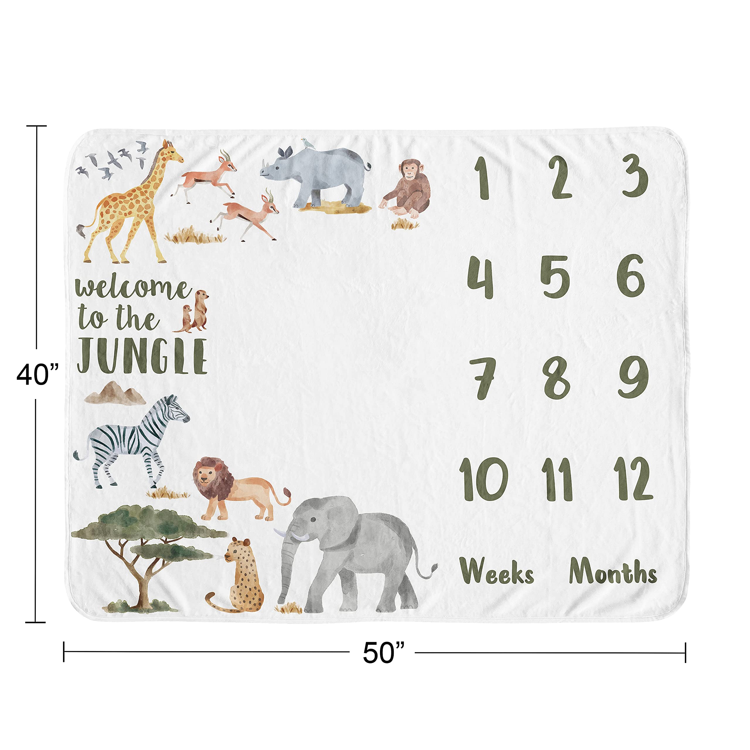 Sweet Jojo Designs Welcome to the Jungle quote adds playful charm to baby portraits