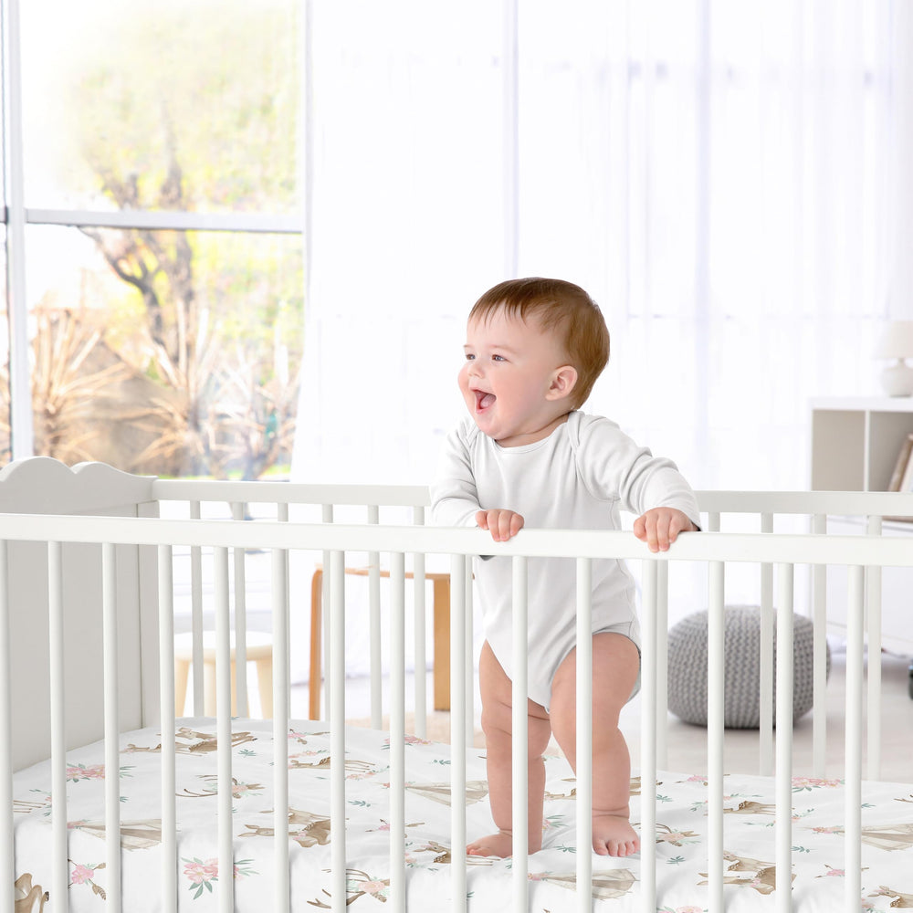 Sweet Jojo Designs room accents image shows coordinating decor ideas for a cohesive nursery.