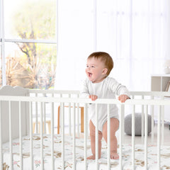 Sweet Jojo Designs room accents image shows coordinating decor ideas for a cohesive nursery.