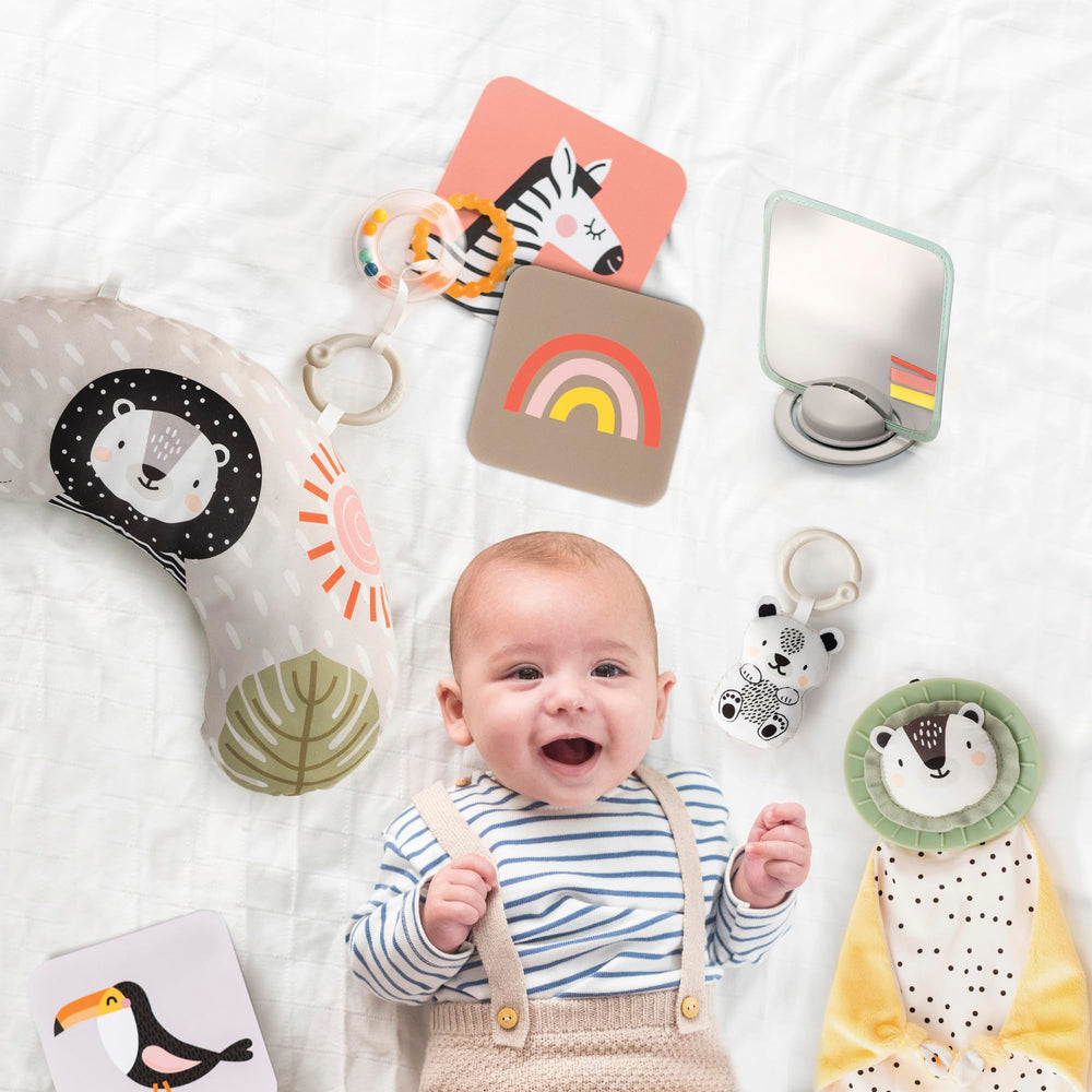 TAF TOYS developmental guide book—parent tips for milestones and engaging activities.