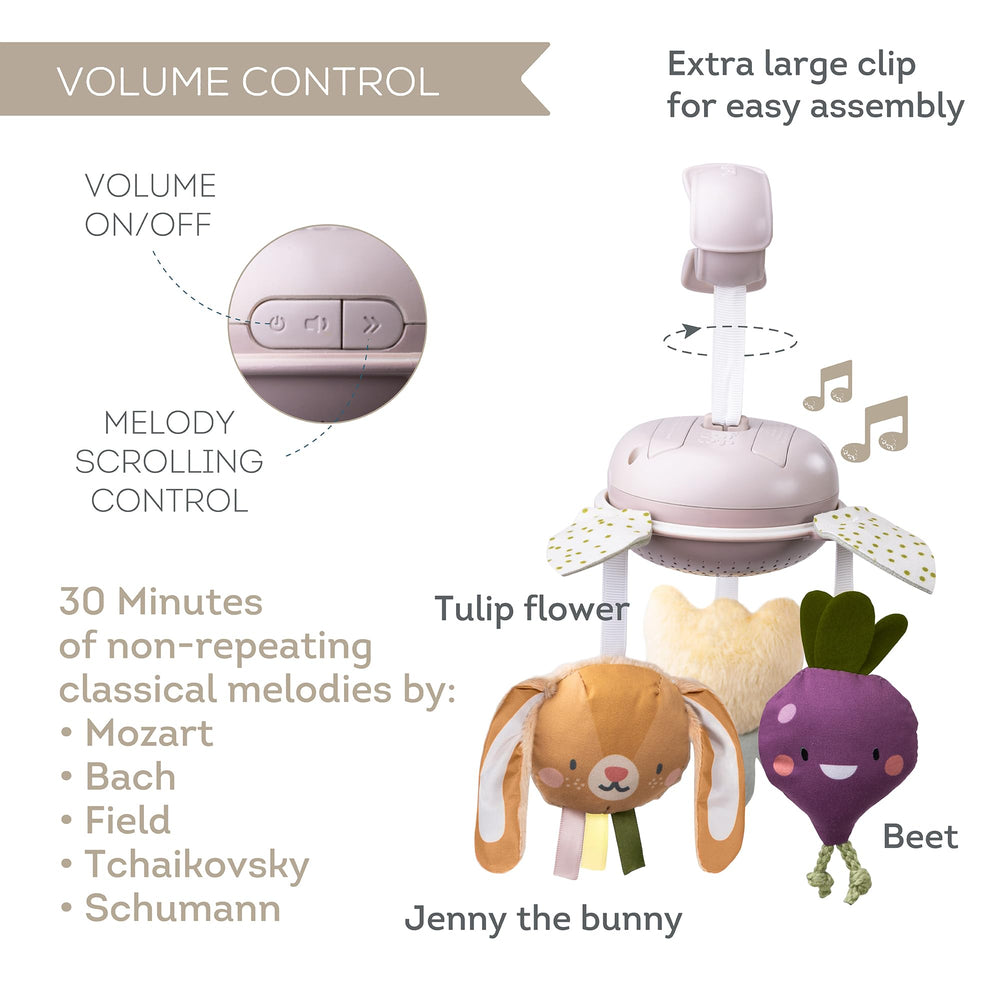 Taf Toys Beet with leaves offers colorful stimulation and curiosity