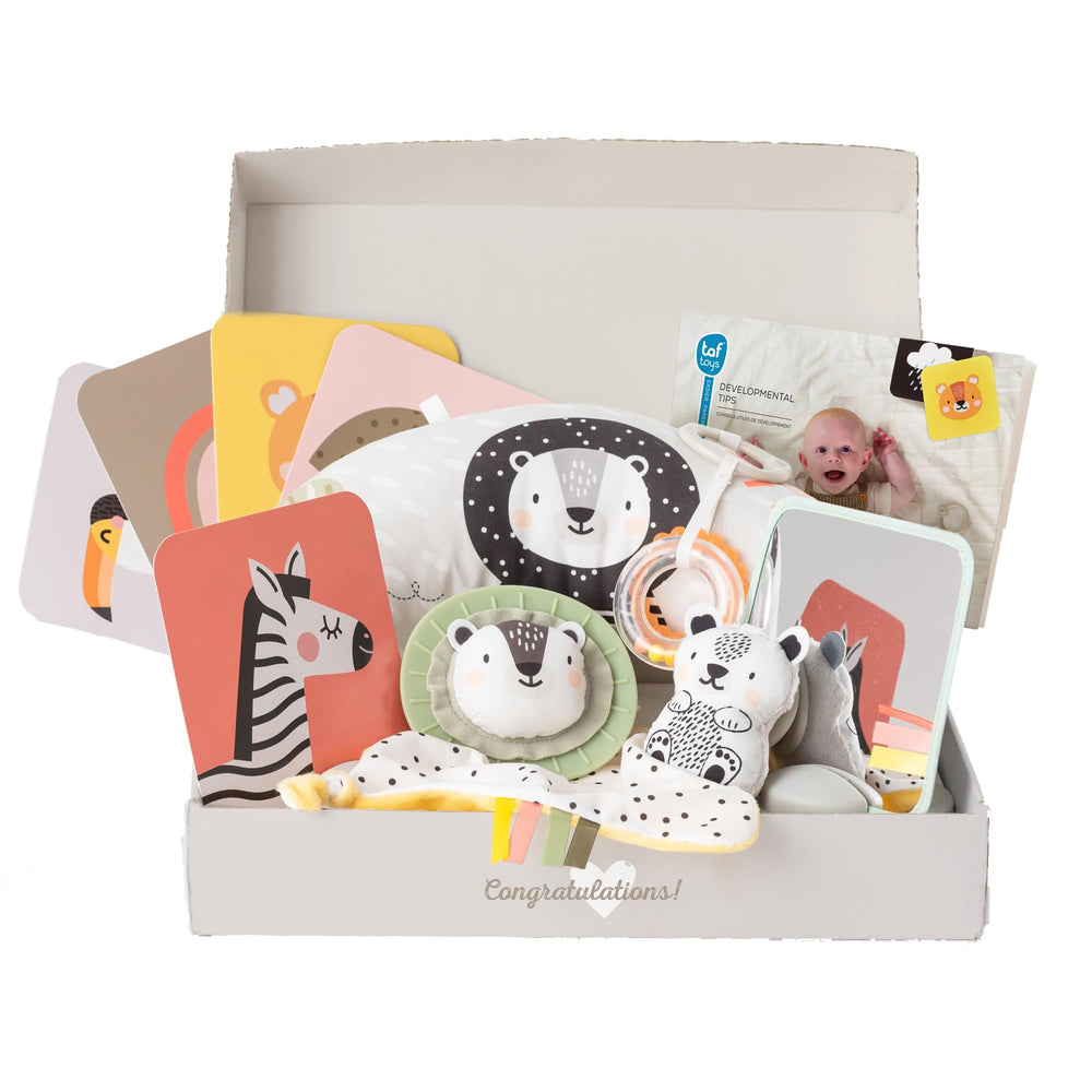 TAF TOYS newborn development kit cover—stylish baby shower gift with an all-in-one learning set.