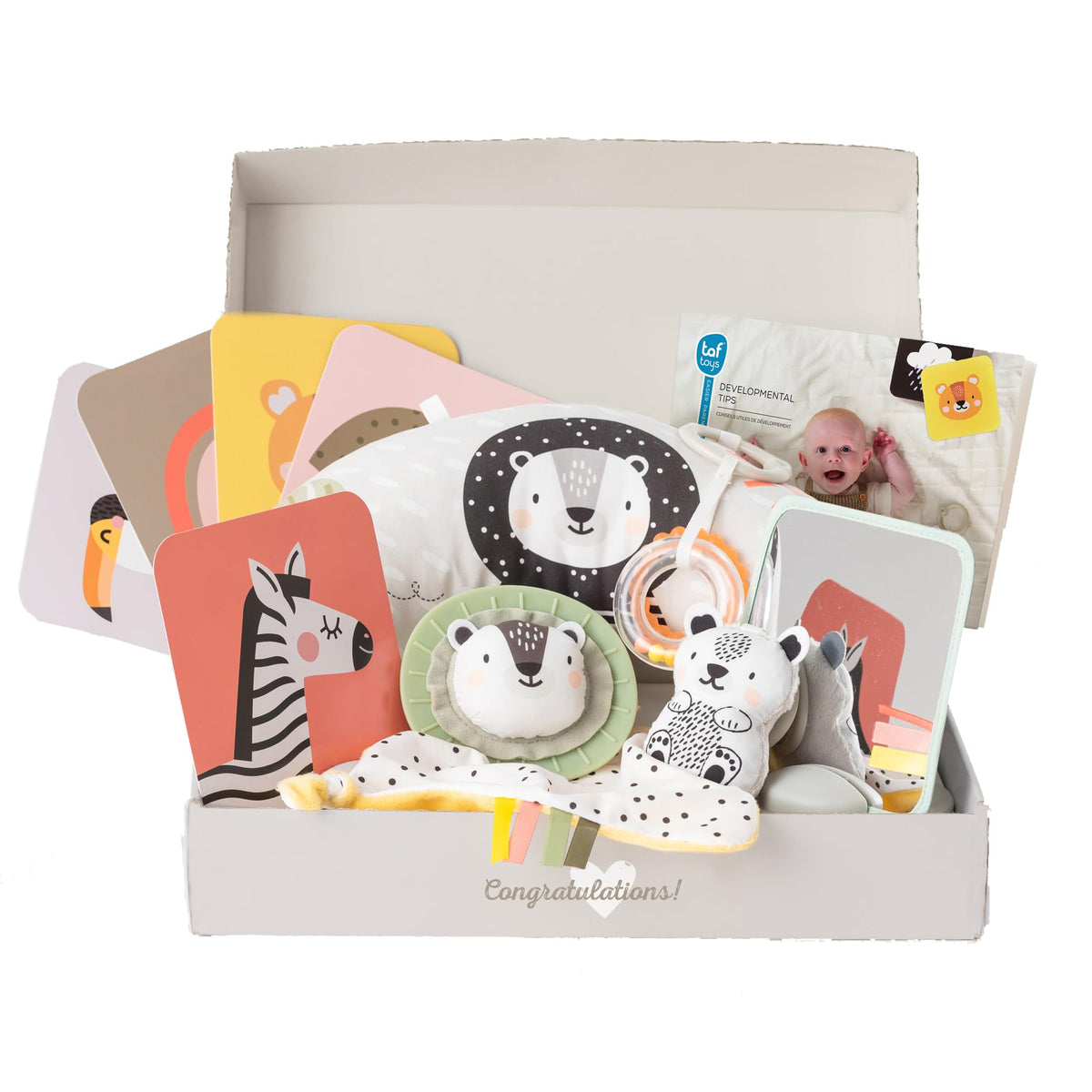 TAF TOYS newborn development kit cover—stylish baby shower gift with an all-in-one learning set.