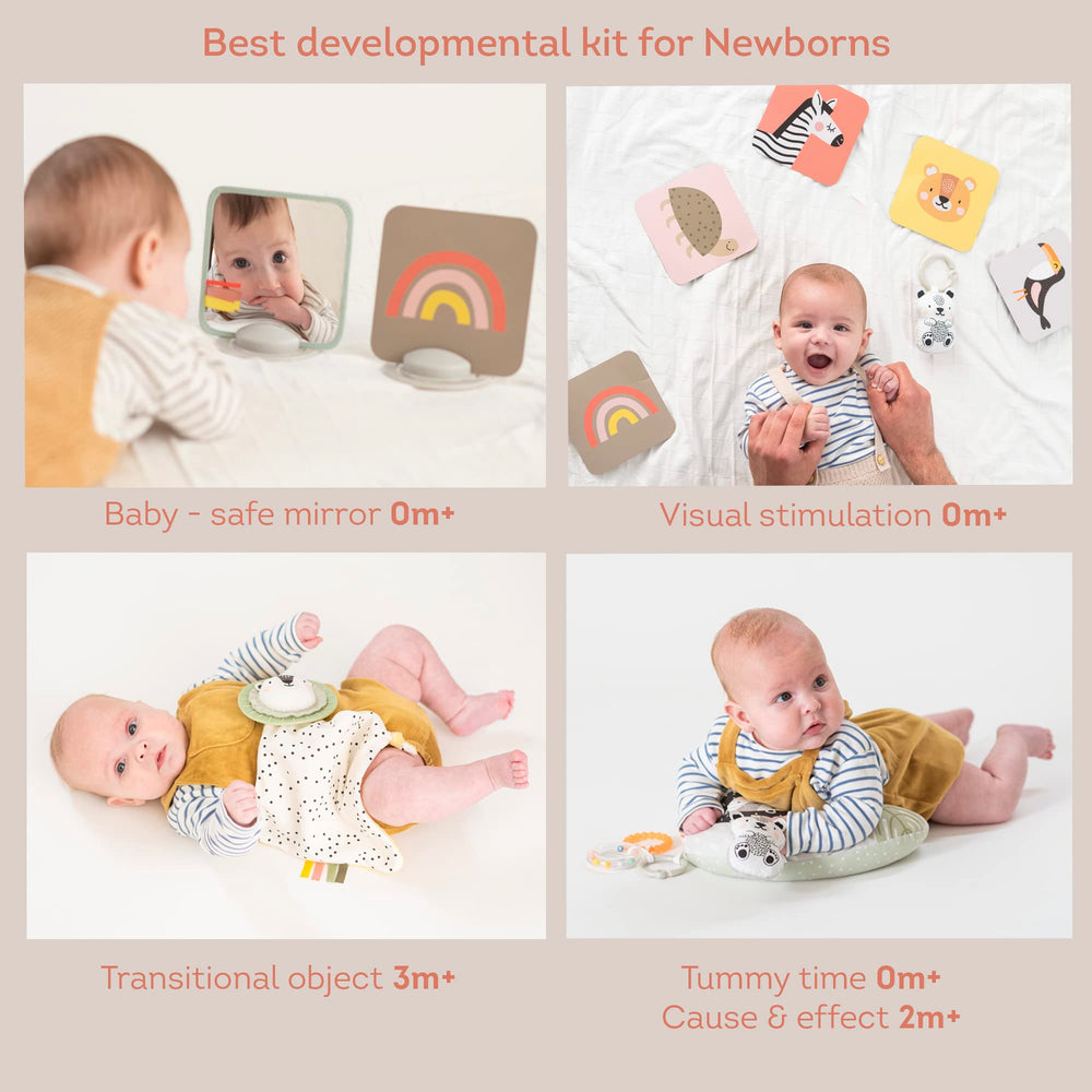 TAF TOYS newborn gift basket arrangement—organized unboxing with practical newborn essentials.